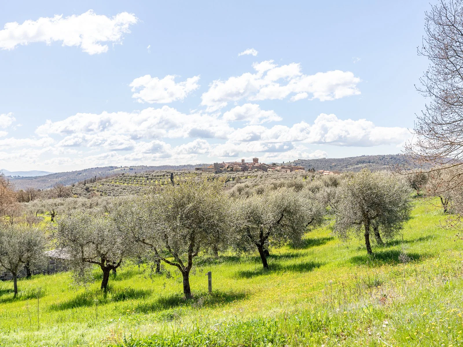 TOSCANA_PRIME_FRANCESCO_RIGOMAGNO_310325-43.jpg