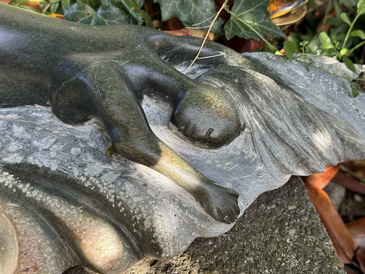 Nahaufnahme einer steinernen Statue, die eine menschliche Hand und ein Gesicht zeigt, umgeben von Blattwerk und anderen Pflanzen.