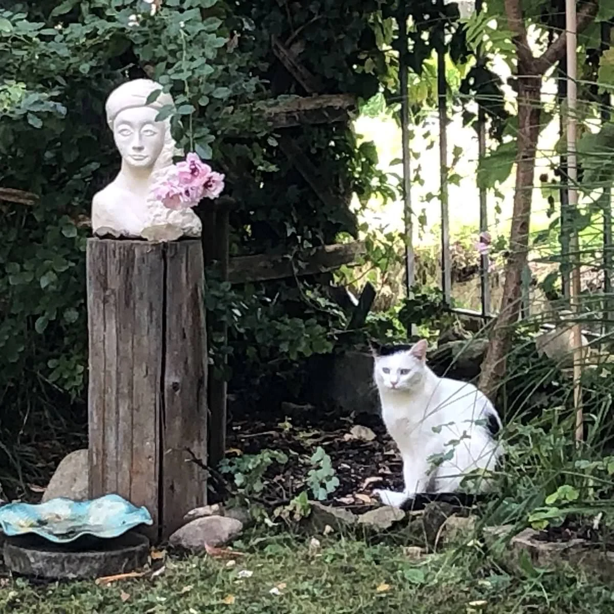 Eine weiße Katze sitzt im Garten neben einer Skulptur auf einem Holzpfosten, umgeben von Pflanzen und Sträuchern.