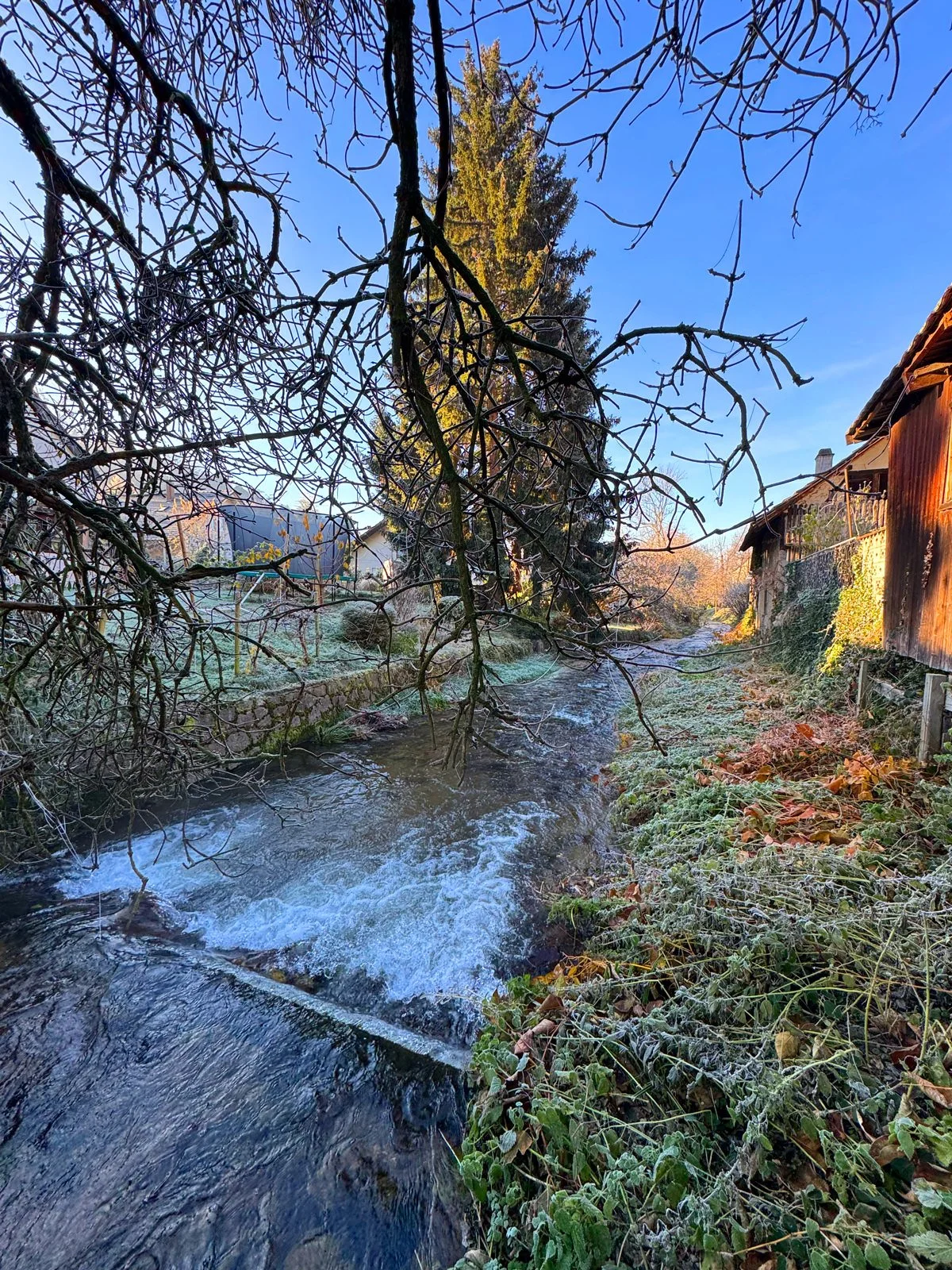 Ein kleiner Fluss fließt durch eine winterliche Landschaft mit frostbedecktem Ufer und kahlen Bäumen. Ein Holzhaus ist am rechten Bildrand sichtbar und ein großer Nadelbaum steht im Hintergrund. Der Himmel ist klar und blau.