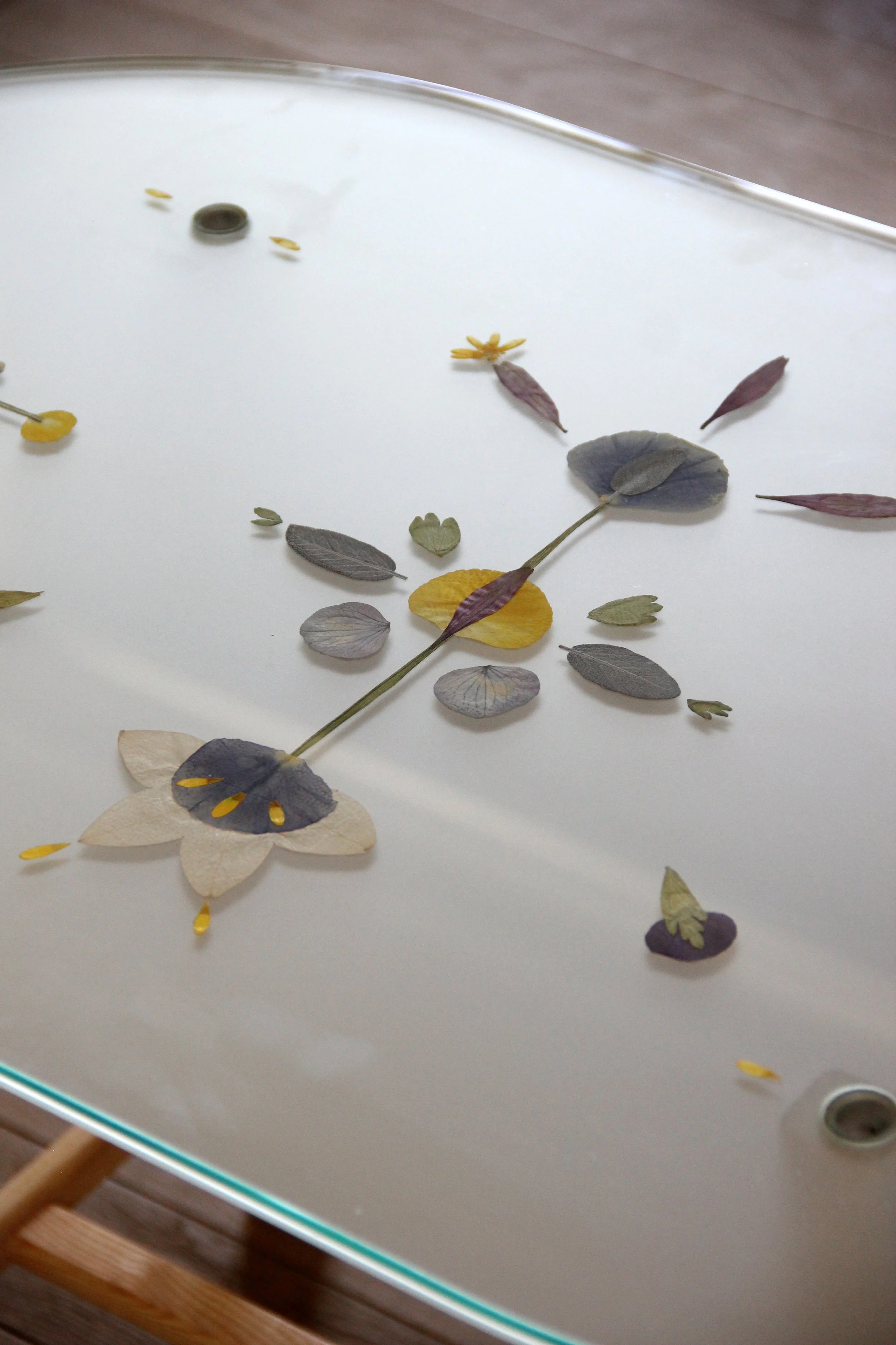 Coffee table with dried flower petal ornaments, made of glass and wood