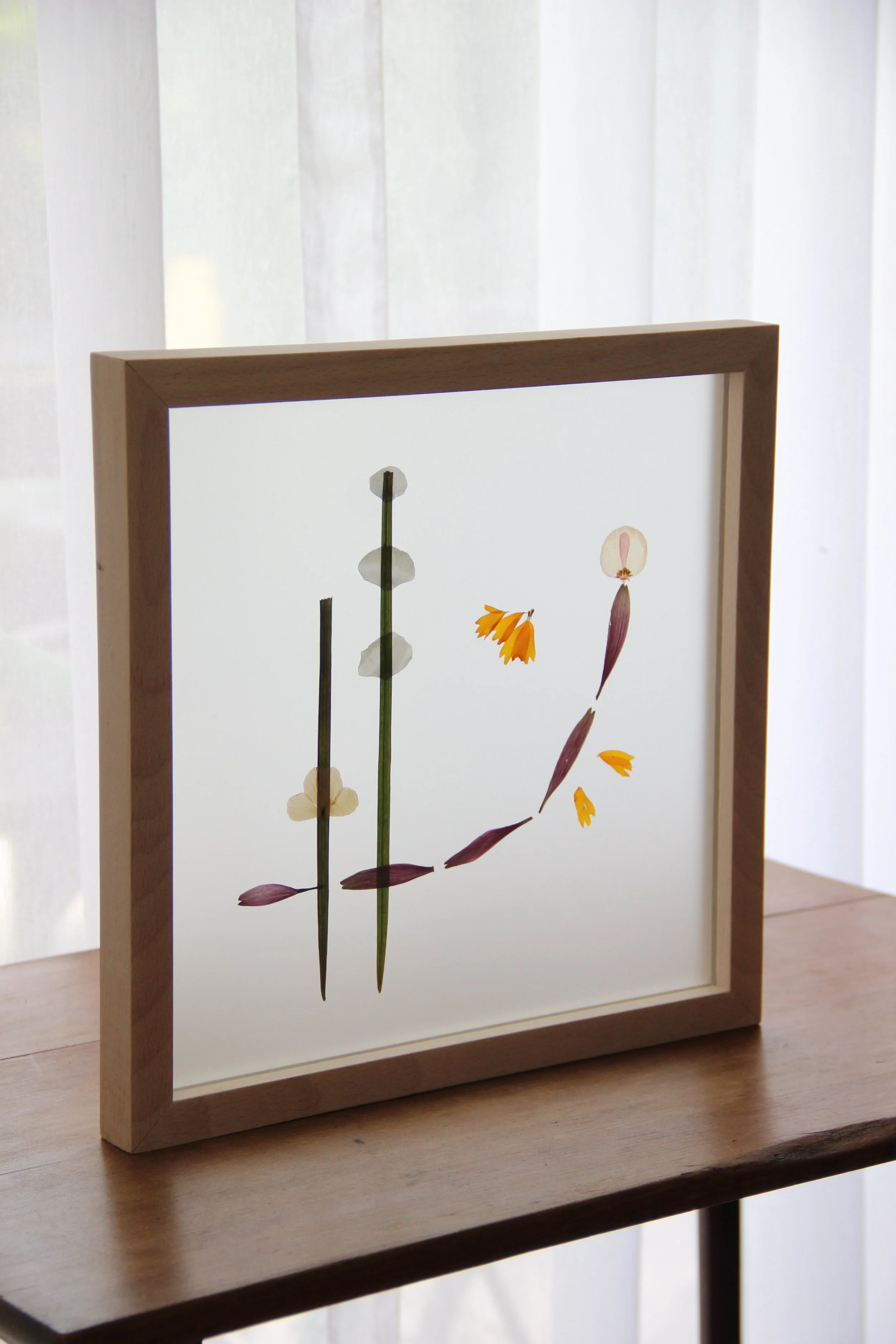 Collage art made of flower petals