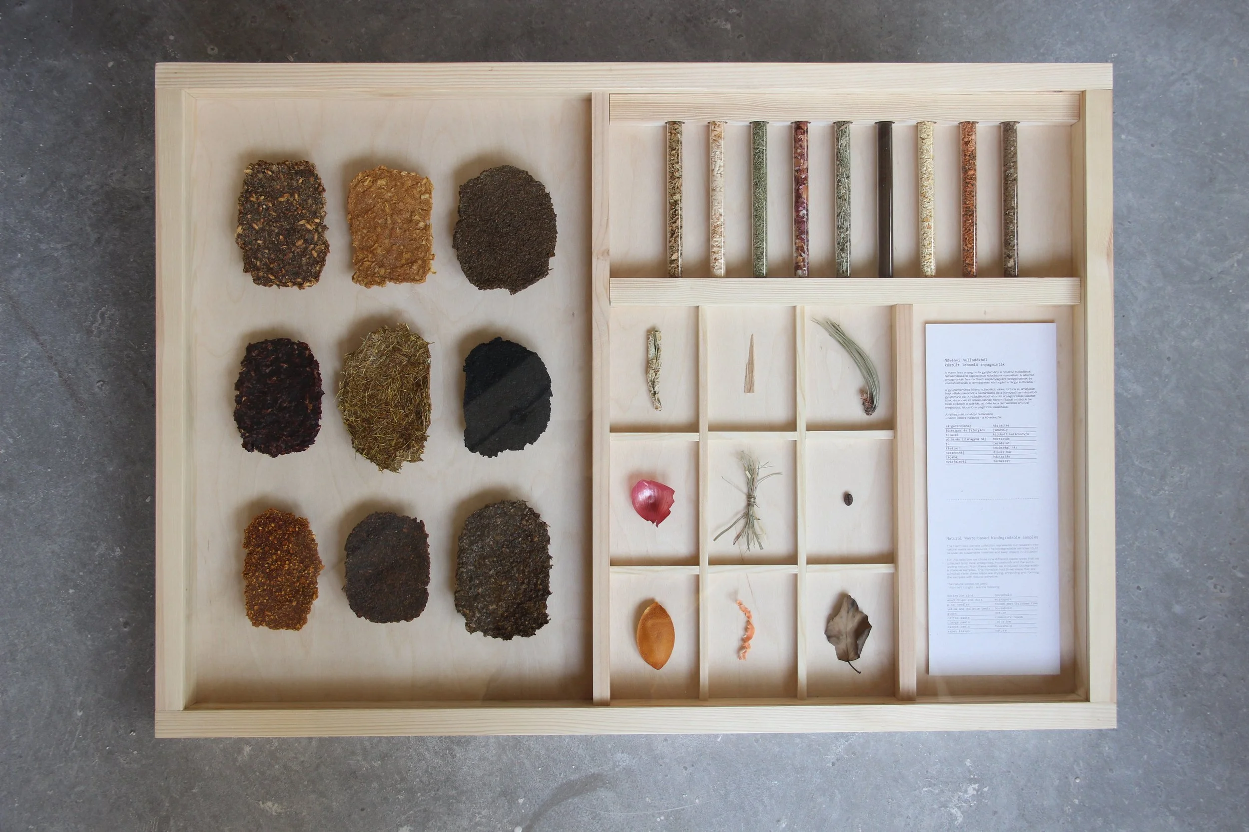 A collection of biodegradable material samples displayed on a wooden frame