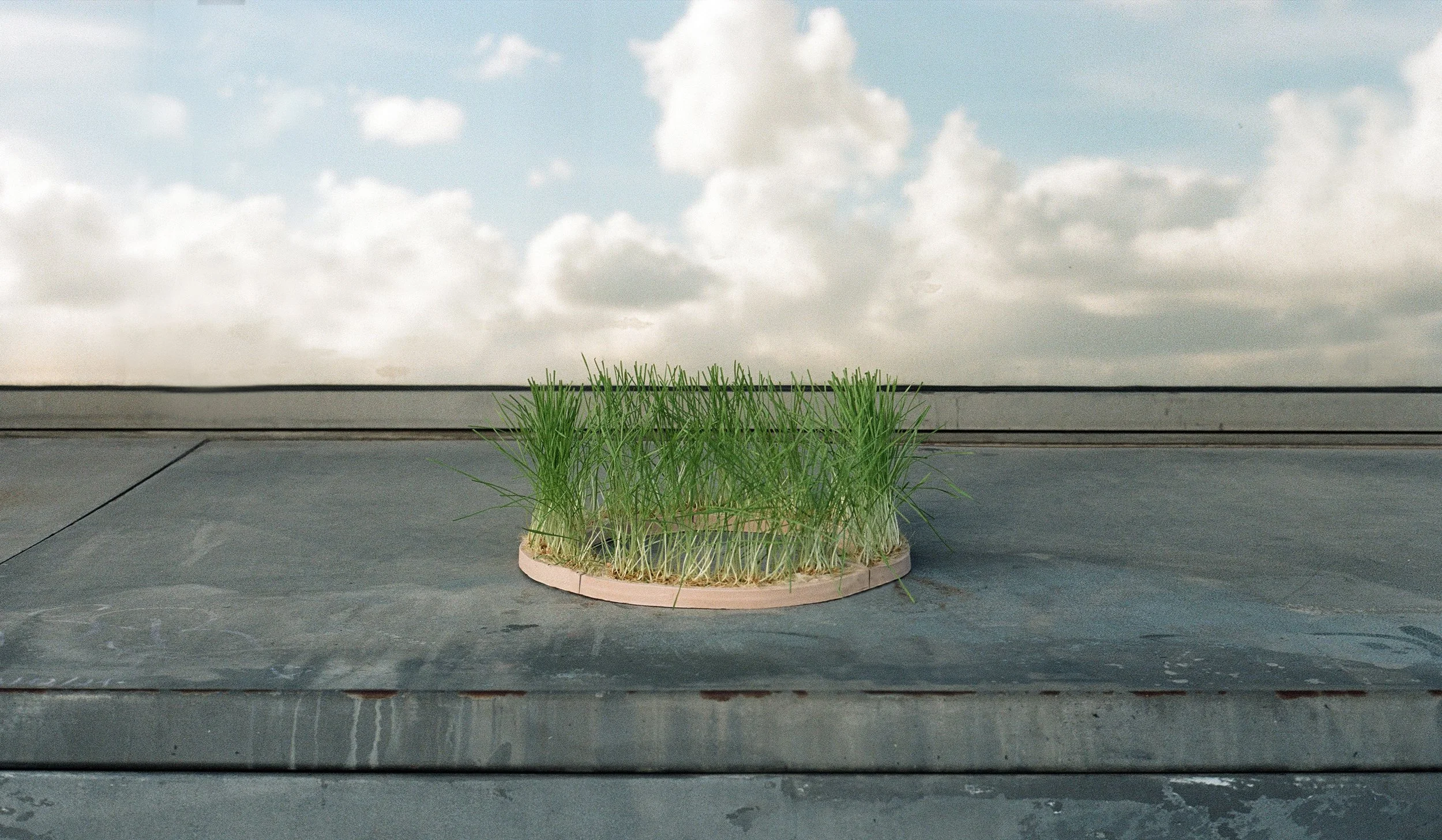 Photography series about ceramic interventions