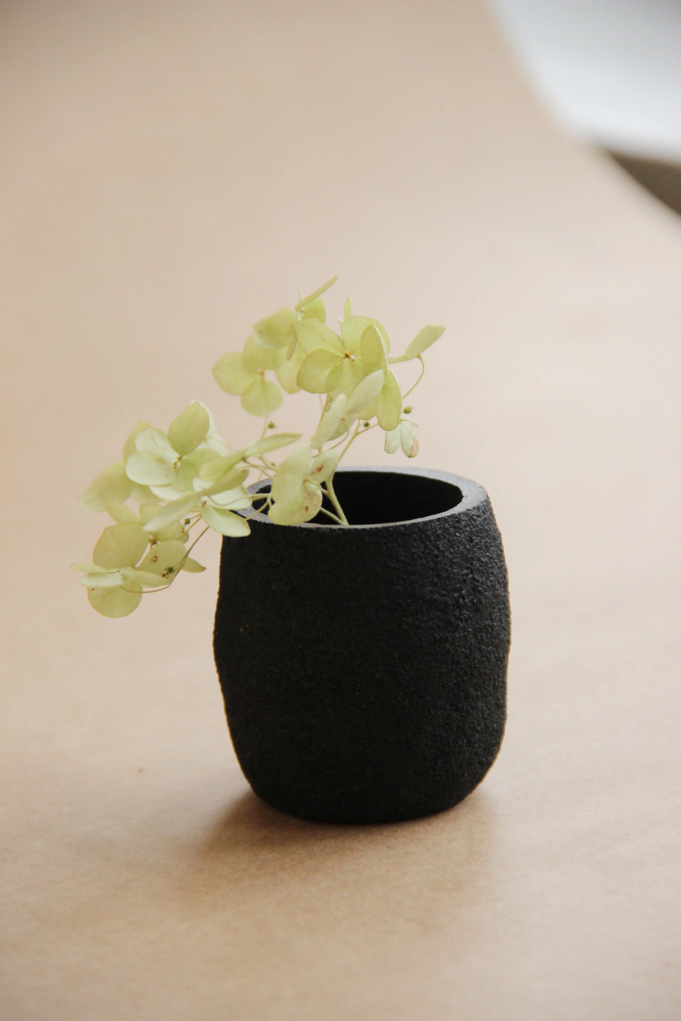 Biodegradable object made of coffee waste