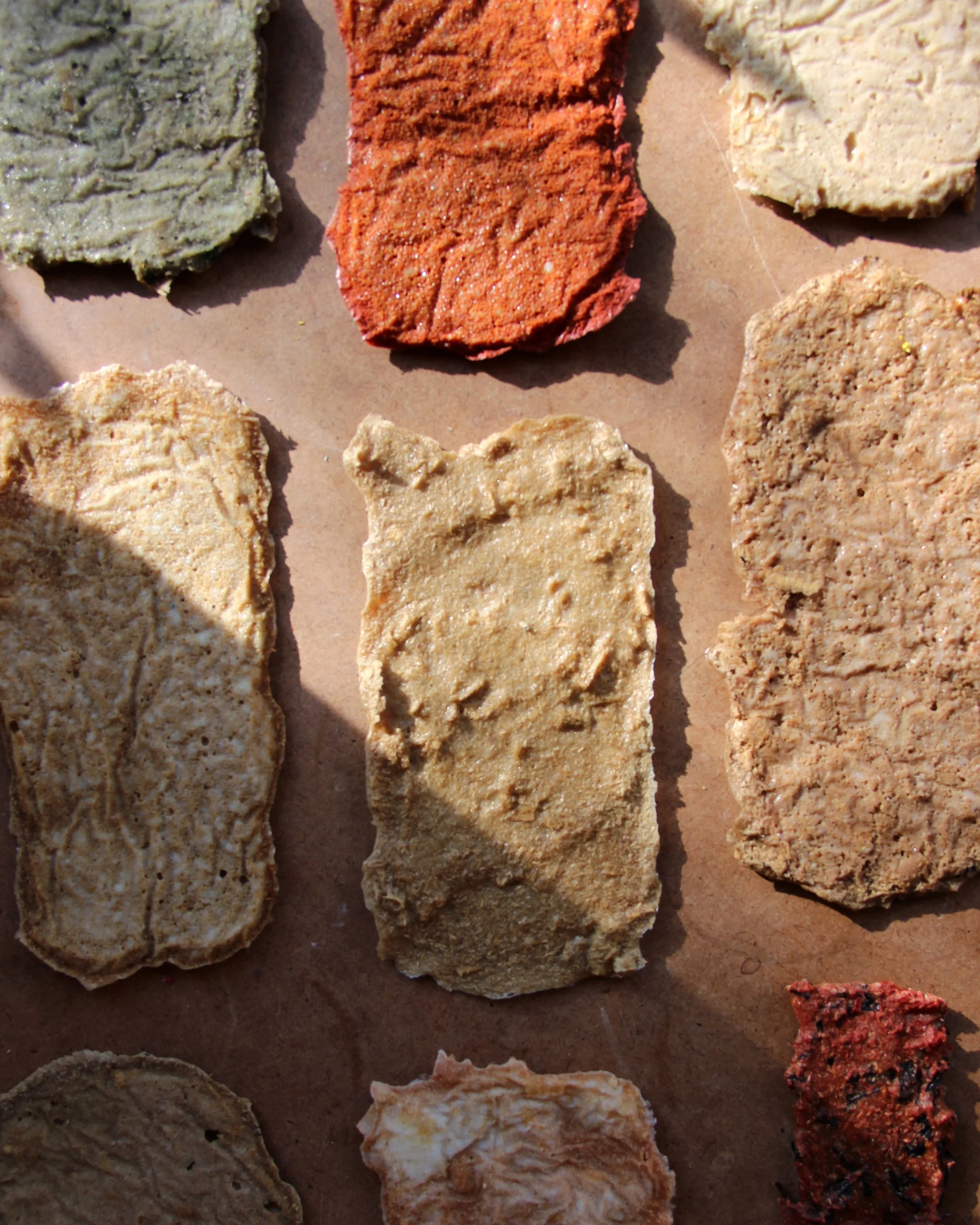 Biodegradable samples