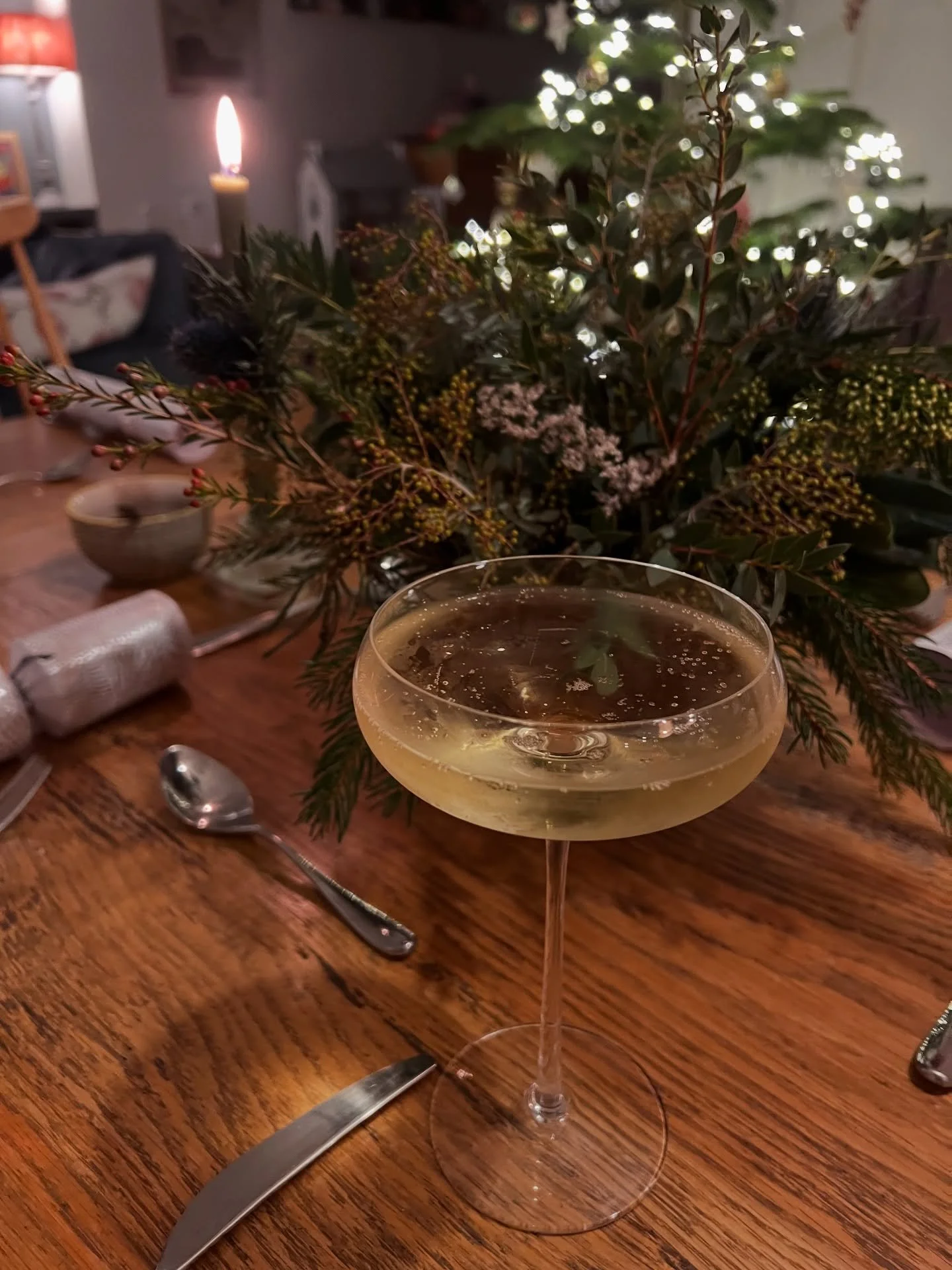 December was exhausting to say the least! 

From workshops and wreaths, to weeding in the mud, presentations (with the flu 🤧) at the British embassy in Bulgaria for my &lsquo;other&rsquo; job, carol concerts galore, and finally crashing into Christm