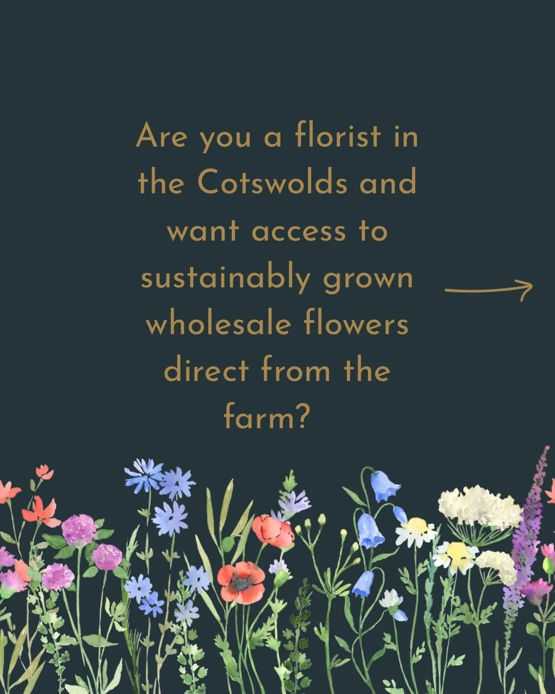 If you&rsquo;re a florist looking for wholesale sustainably-grown speciality flowers and foliage, sign up for weekly stock and price lists at landgirlflowers.co.uk/florists (link in bio)

#britishgrownflowers #grownnotflown✈️ #flowerfarm #oxfordshire