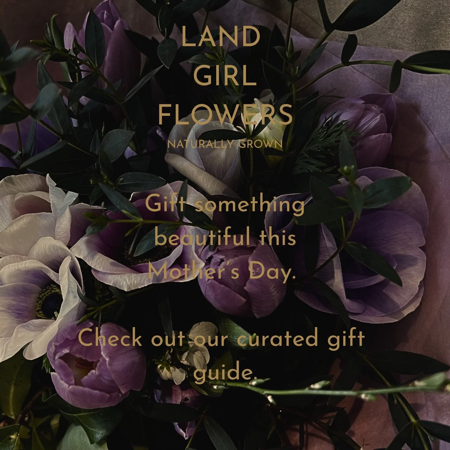 We&rsquo;ve curated a page with some lovely options for gifting, including:
💐 Mother&rsquo;s Day bouquets of British grown beauties
💝 a gift subscription to receive a bunch each season
🌷 floral workshops to gift or come to together for a super spe