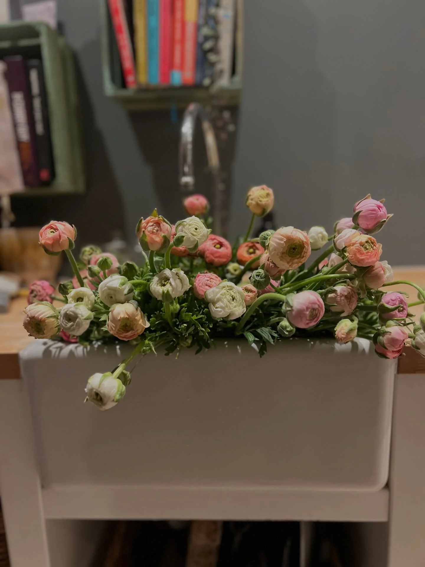 Ranunculus on tap

Harvested these beauties as we&rsquo;re due a frost overnight. They&rsquo;ll unfurl like mini peonies.

#grownnotflown #flowerfarm #cotswolds