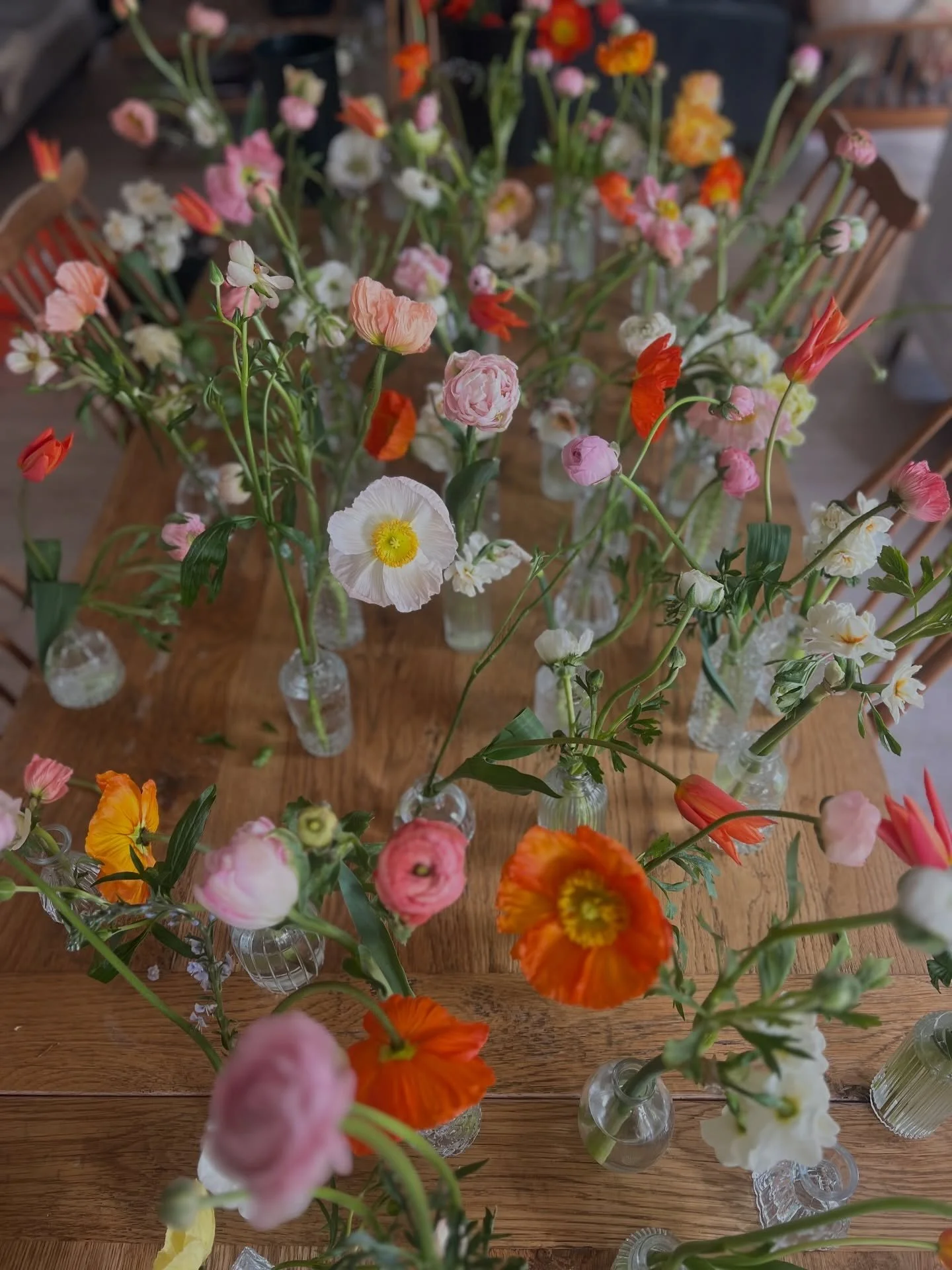 Kate and Dave, 27.04.2026 💕

I met Kate this time last year when she was passing my market stall and fell in love with our farm-grown colibri poppies. One year on and I had the pleasure of flowering her wedding on the most beautiful of April days wi