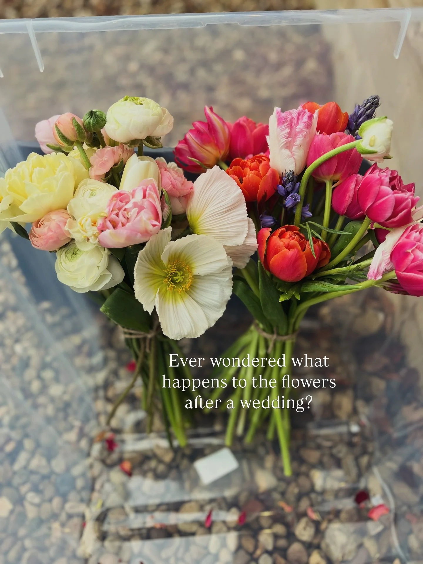 Beautifully sustainable wedding flowers ✨. We don&rsquo;t let perfectly good wedding flowers go to waste. We can bunch them up for you and your loved ones to enjoy or place on a grave in remembrance. Or leave it to us to give them a new home with a l