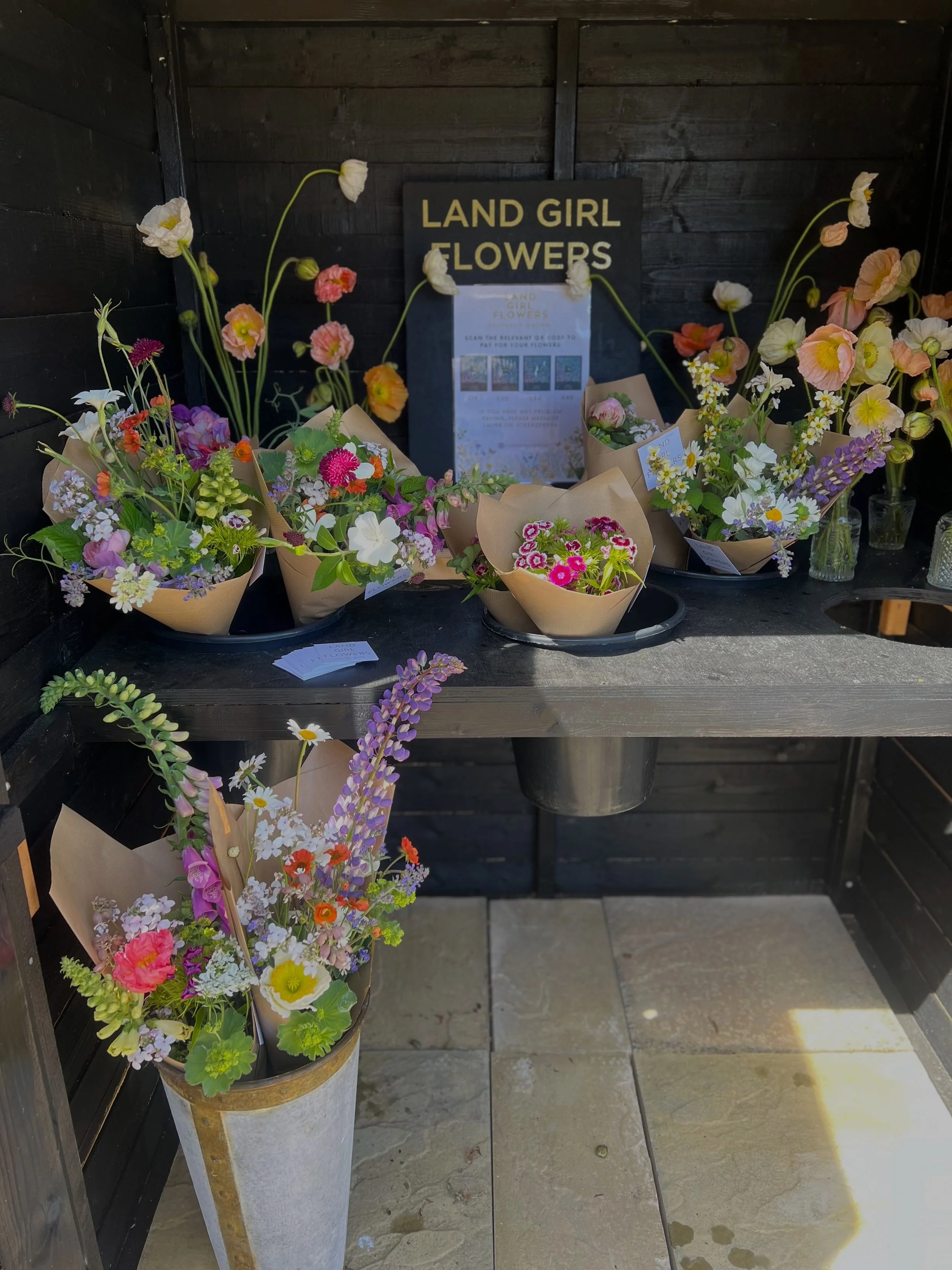 Our flower shed in Hook Norton has been restocked for the weekend. Grab a bunch/bud vase or two for &pound;10 each. Contactless payment via QR code. 

Black Barn Studios, Hook Norton, OX155JR

Have a lovely weekend all xxx