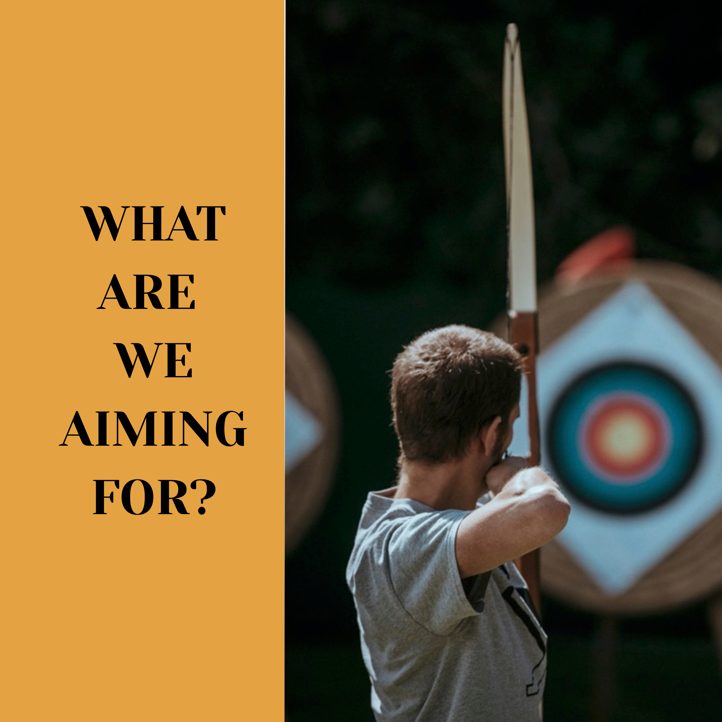 What Are We Aiming For?