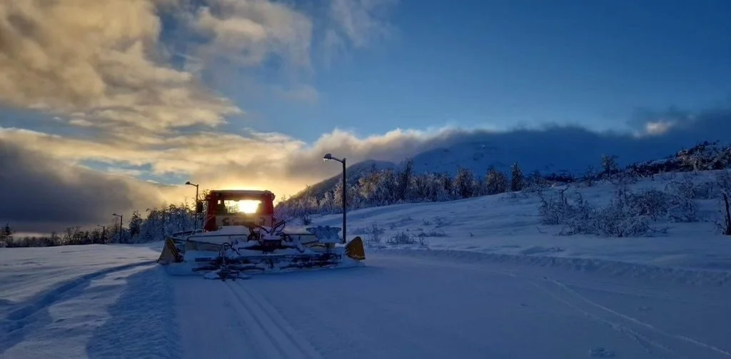 The 5-kilometer cross-country race is ready!