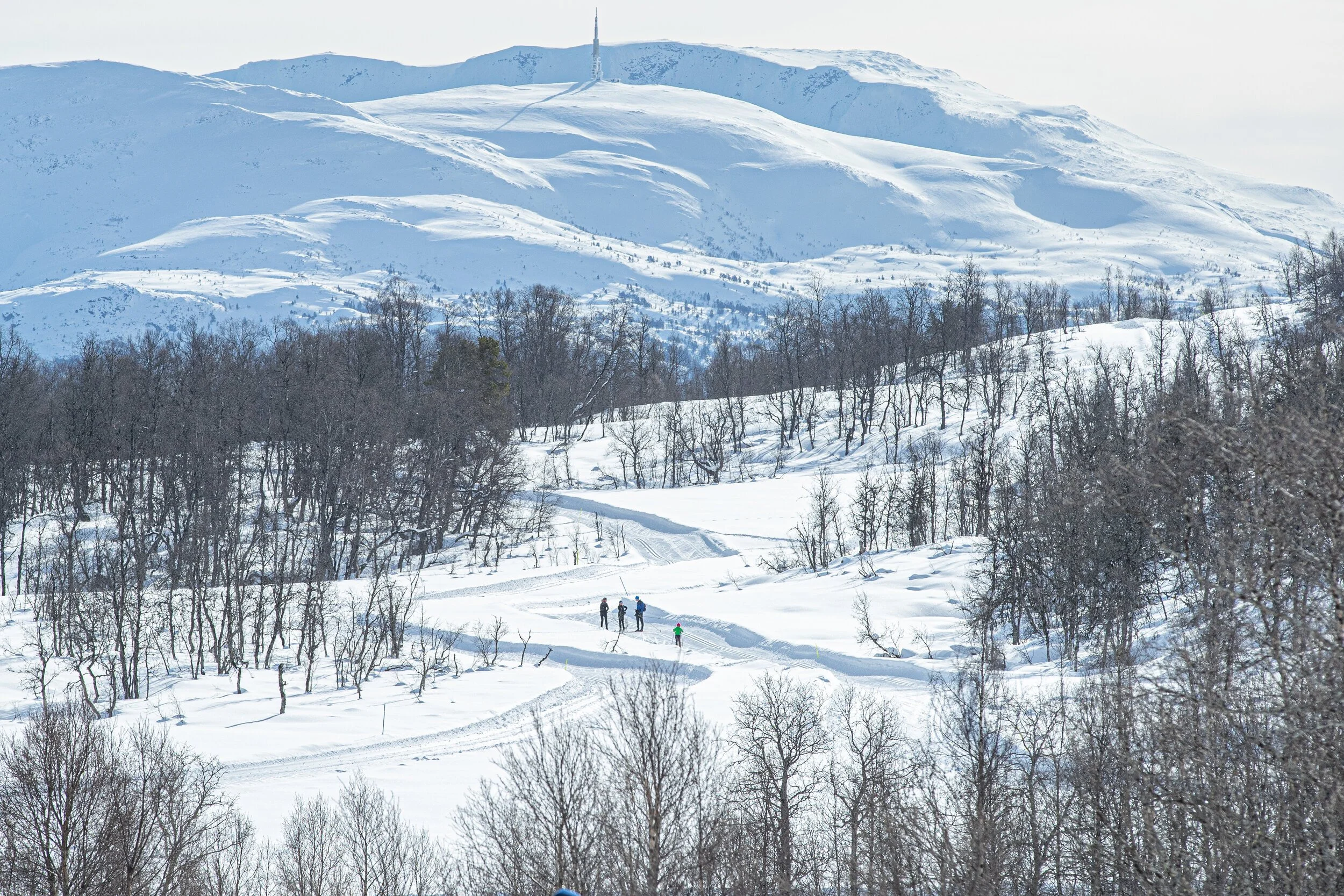 Preparation of cross-country ski trails