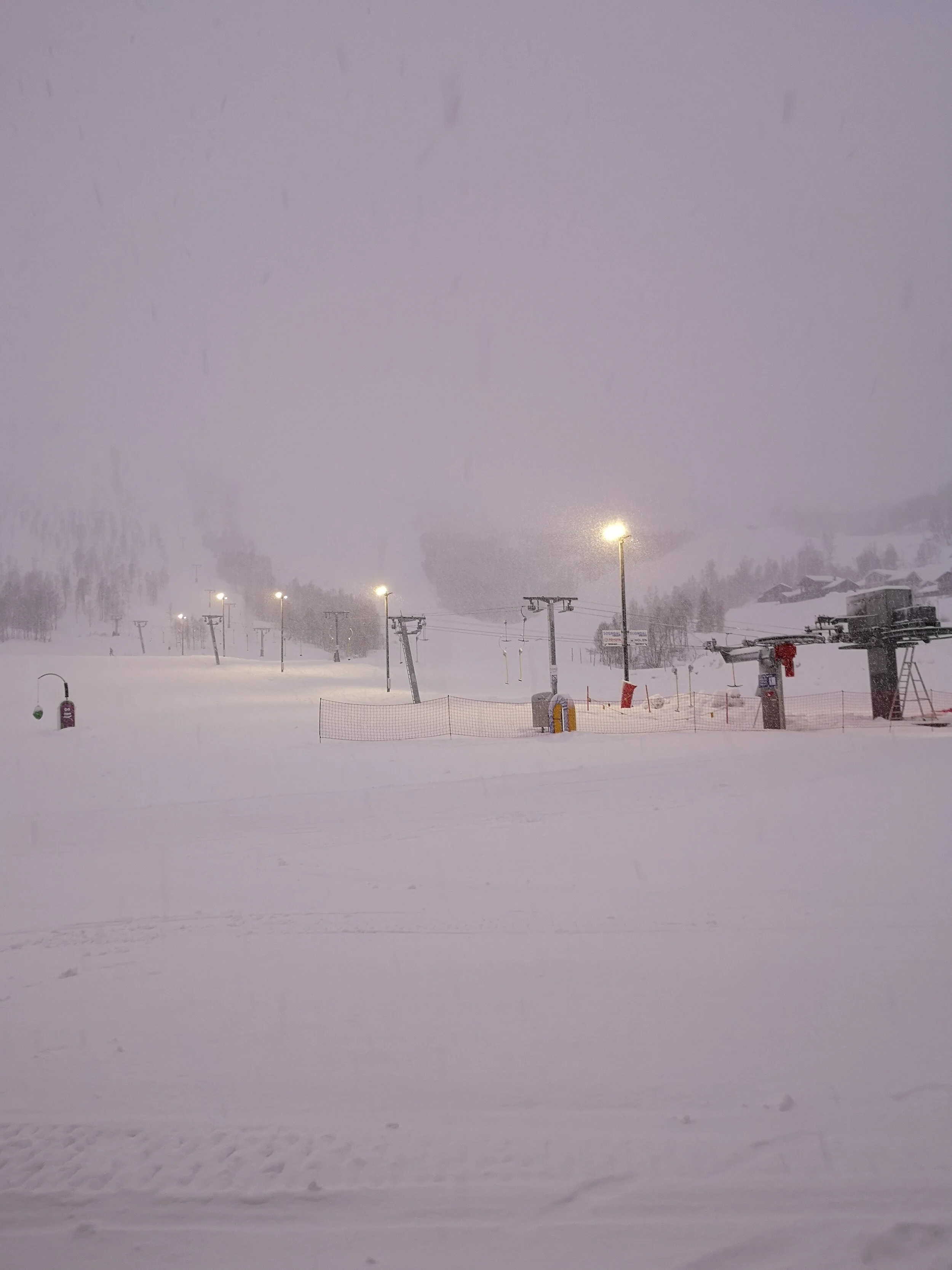 It's snowing! 
