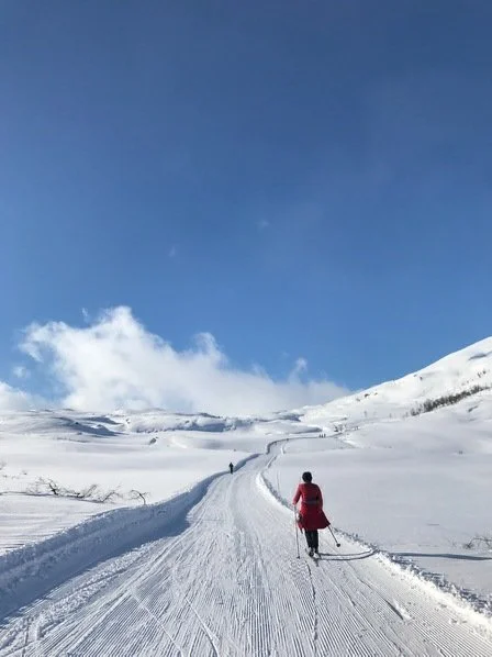 Velkommen til fjells