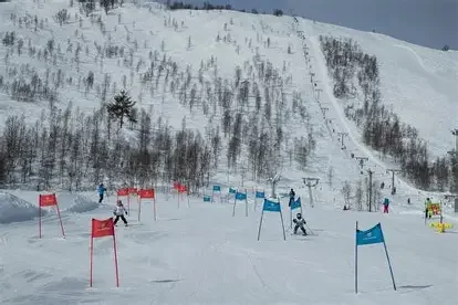 Parallellslalom med Olaf