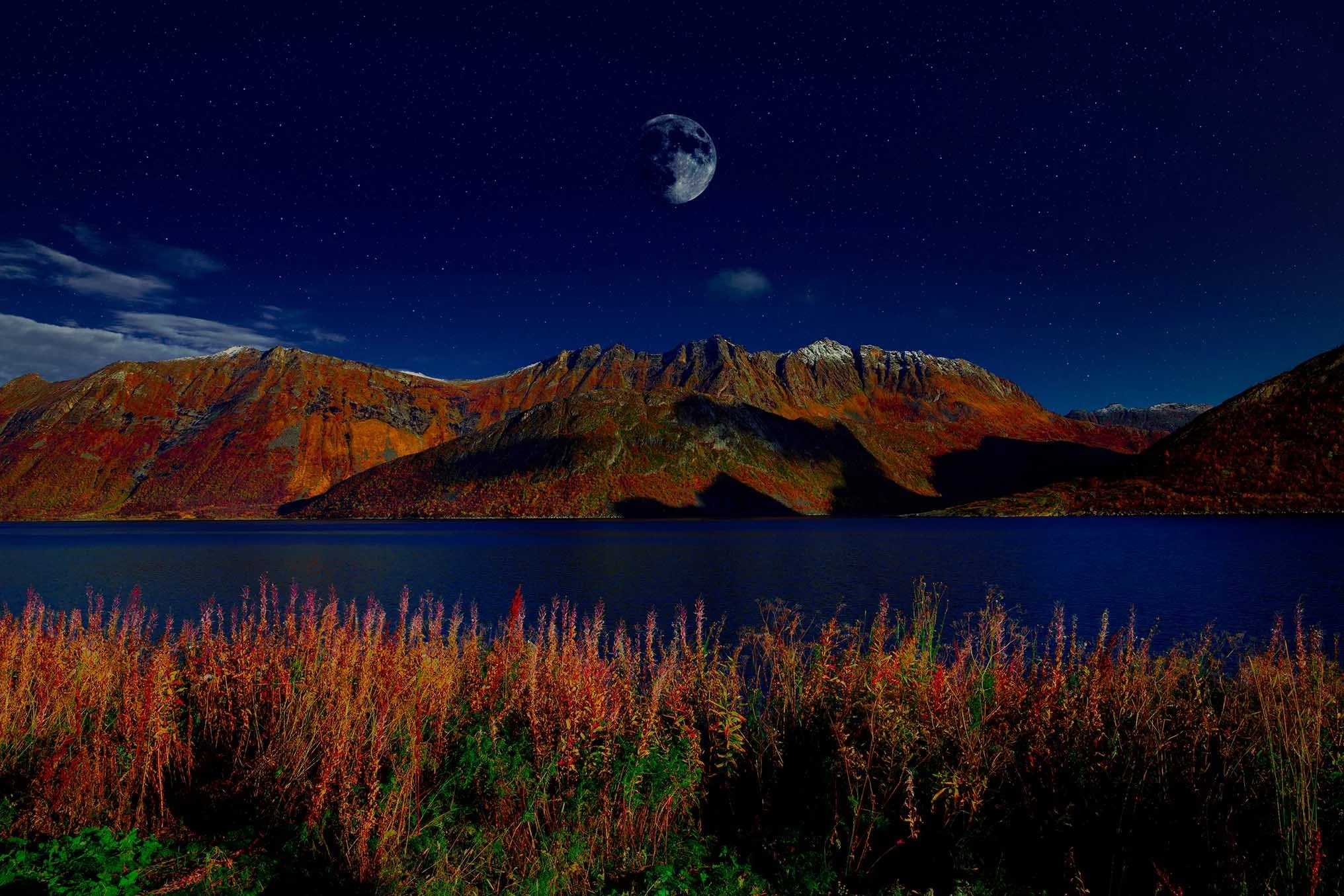 Natures Gift 1_website.jpg