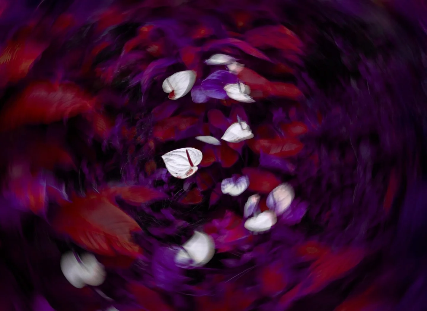 Experimenting with new things for my new series &lsquo;Closely Connected&rsquo;, which is all about the strong connection I feel with the magic of life ✨

Butterflies, dreamy scenery and self portraits with mystical elements serve as reflections of t