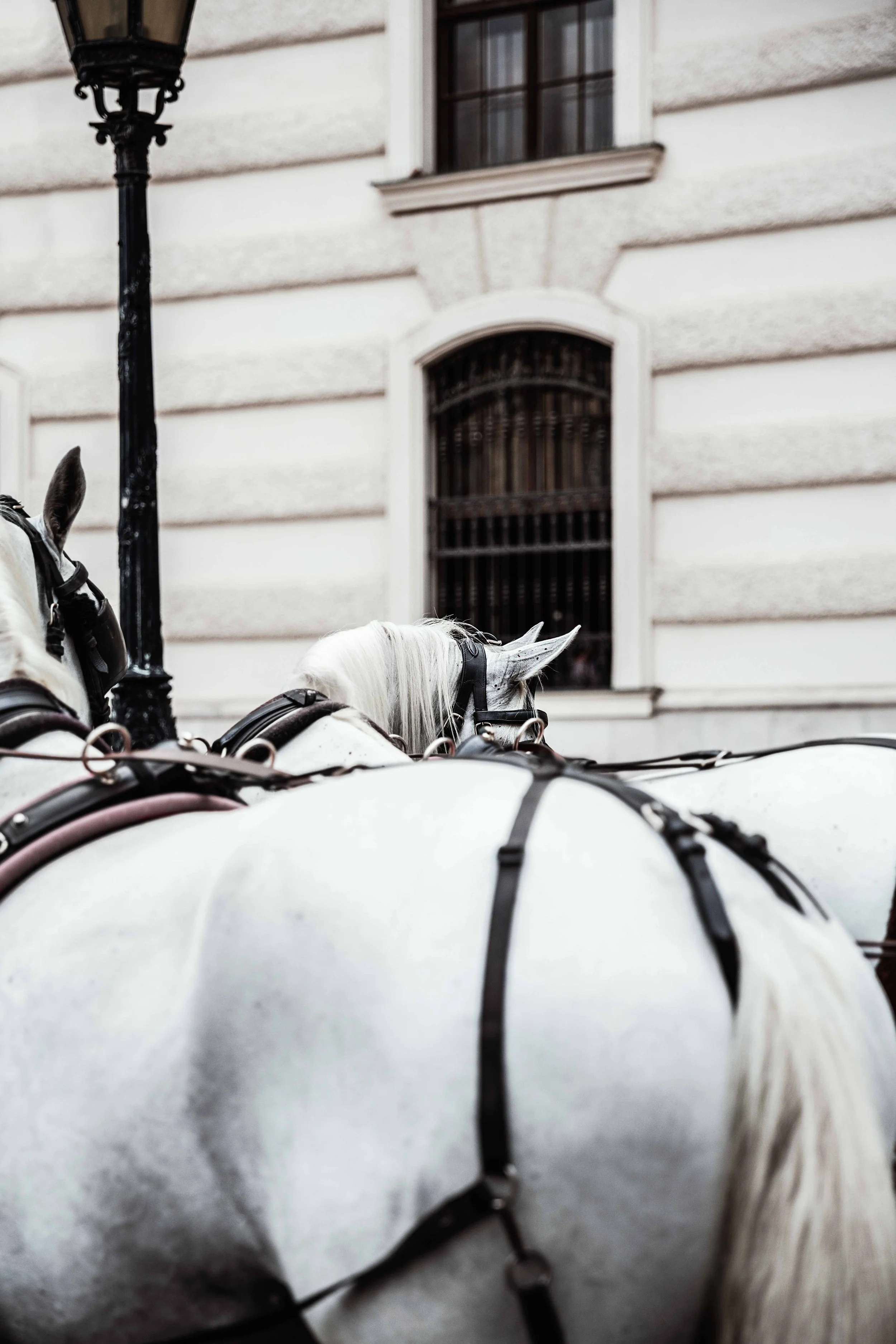 Luna Rhoda de Dobbelaere_Intterrail_export 2026_website_031.jpg