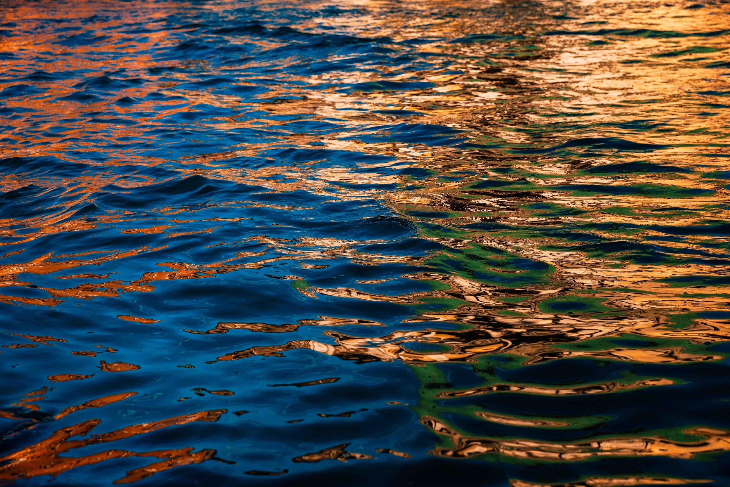 Luna Rhoda de Dobbelaere_Intterrail_export 2026_website_044.jpg