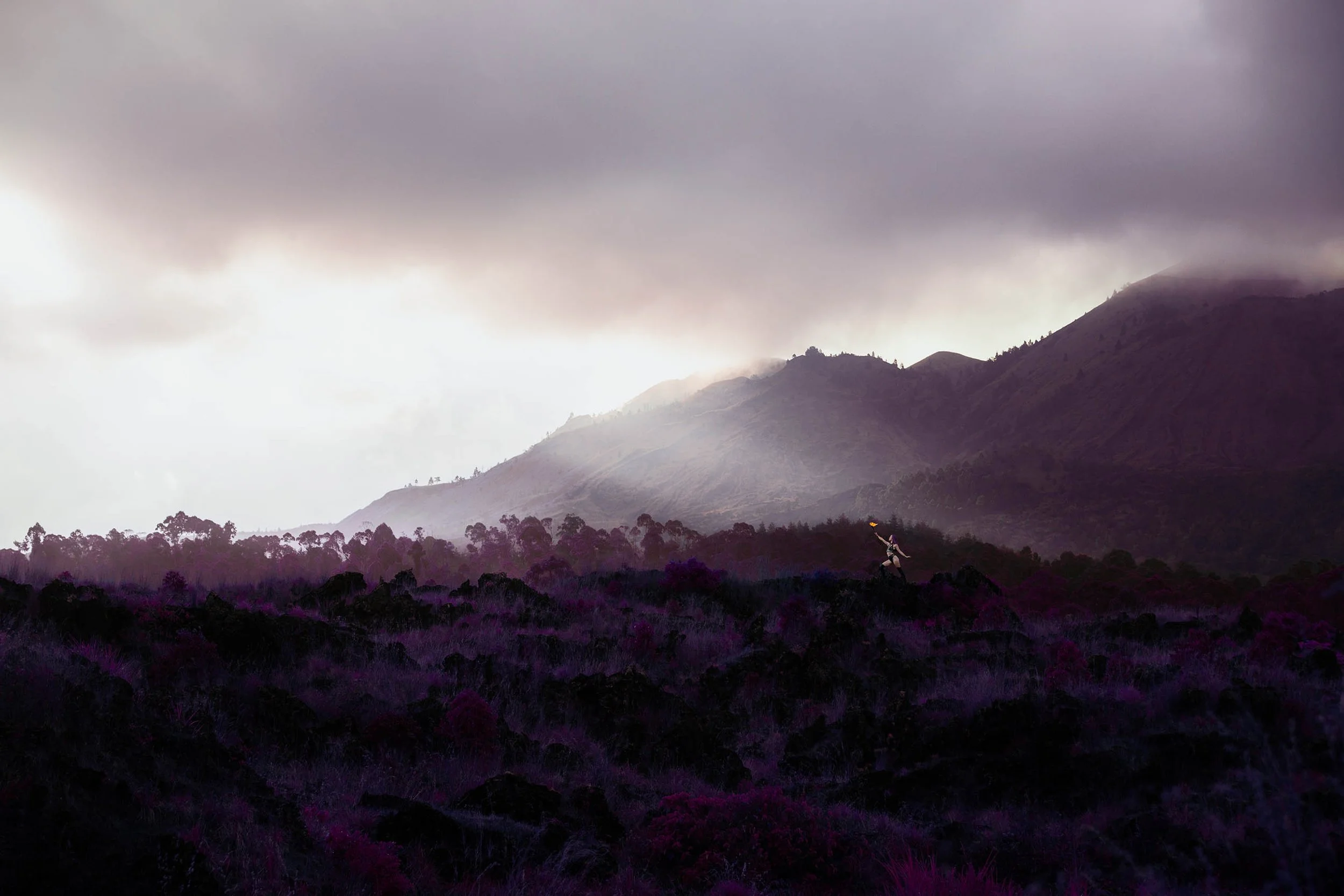 CaseyLee_Luna Lemuria Art_01.2-website.jpg