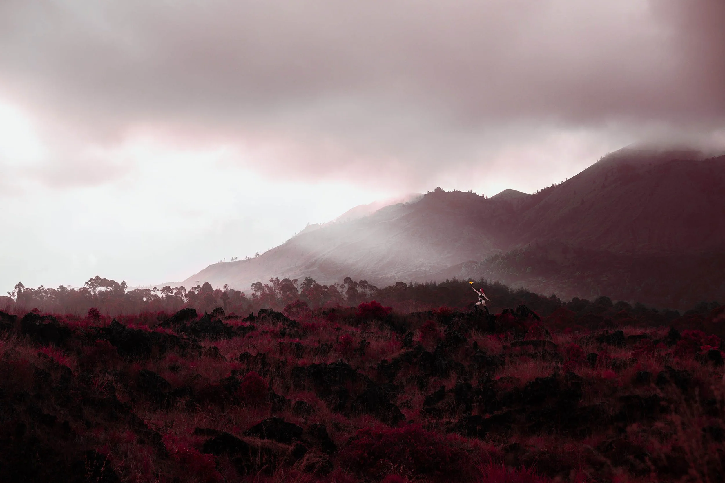 CaseyLee_Luna Lemuria Art_01.3-website.jpg