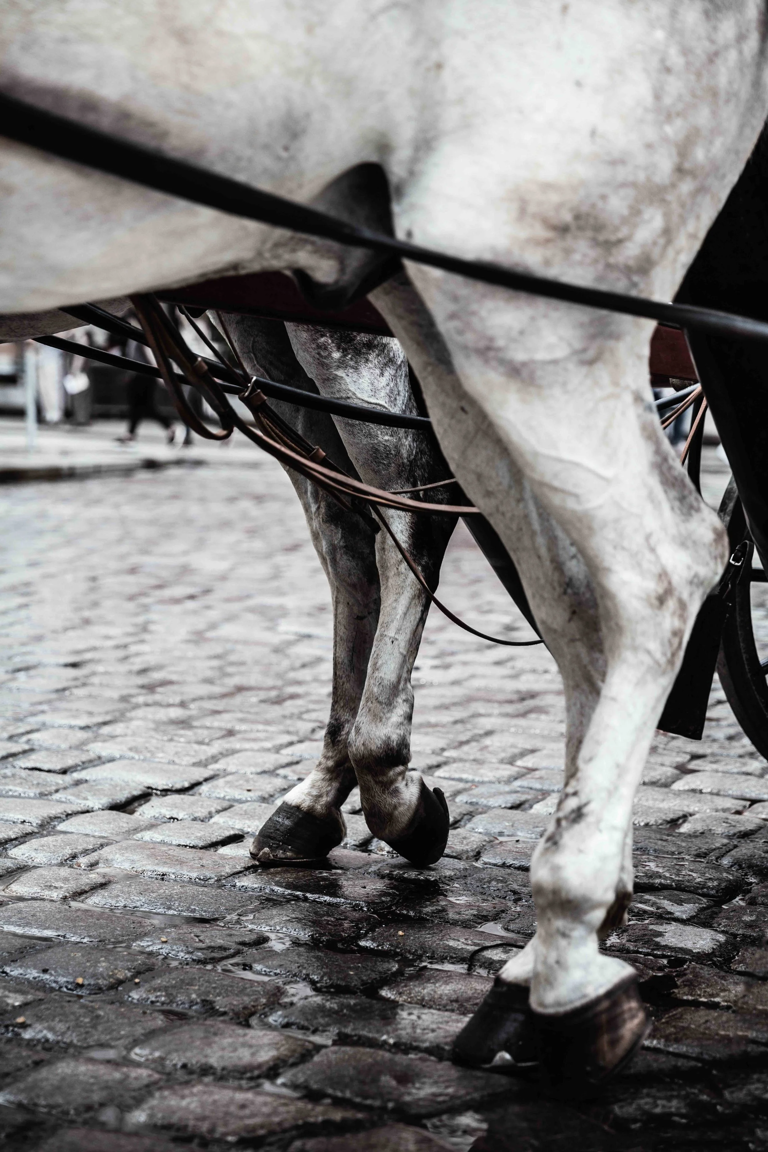 Luna Rhoda de Dobbelaere_Intterrail_export 2026_website_032.jpg