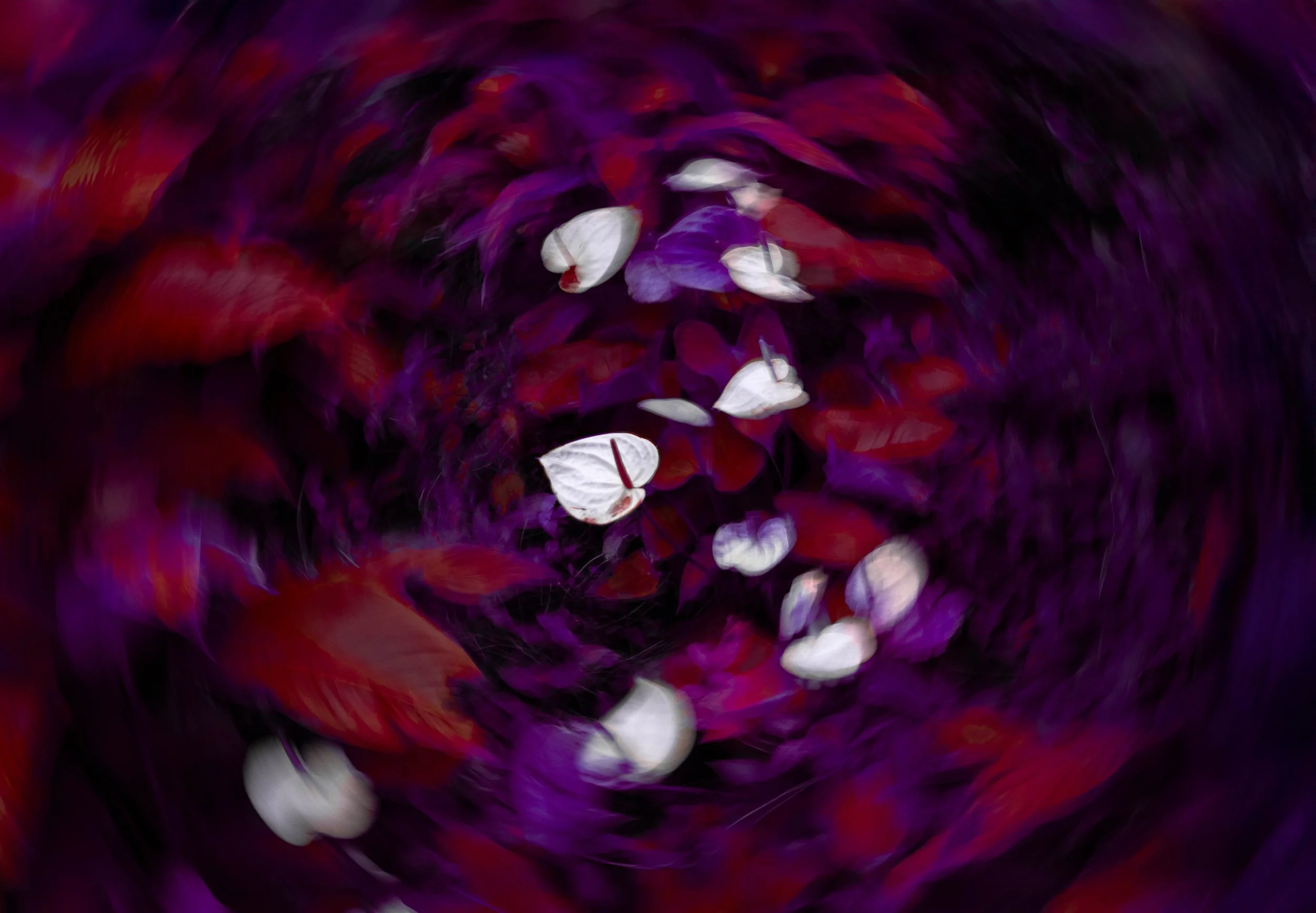 Closely Connected_Website_009.jpg