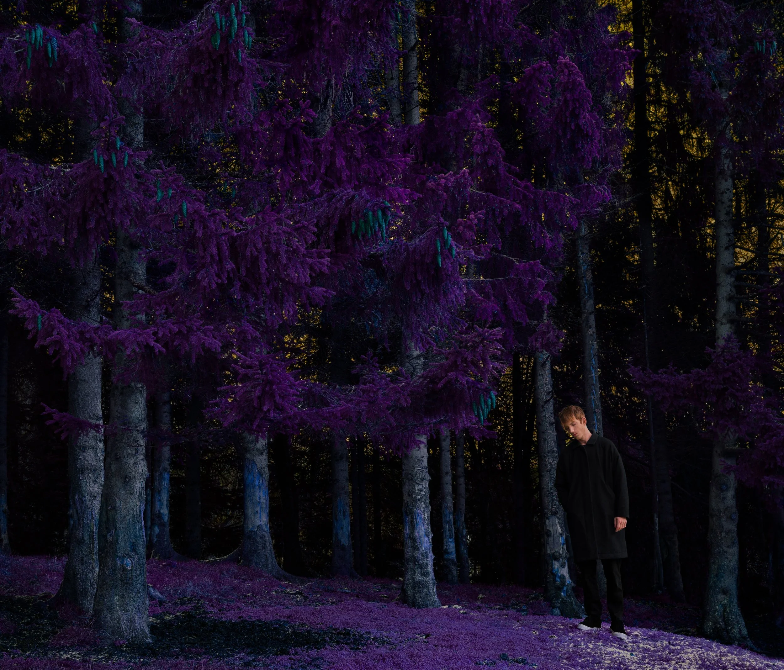 No Escape_Rein_sRGB.jpg