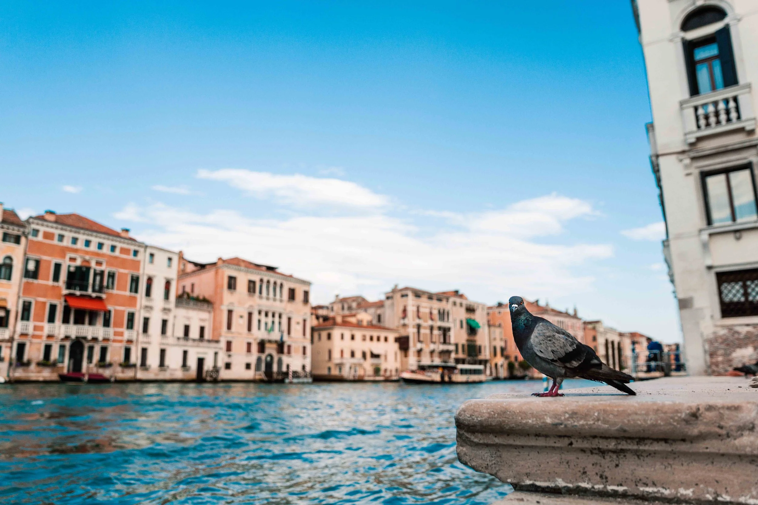 Luna Rhoda de Dobbelaere_Intterrail_export 2026_website_047.jpg