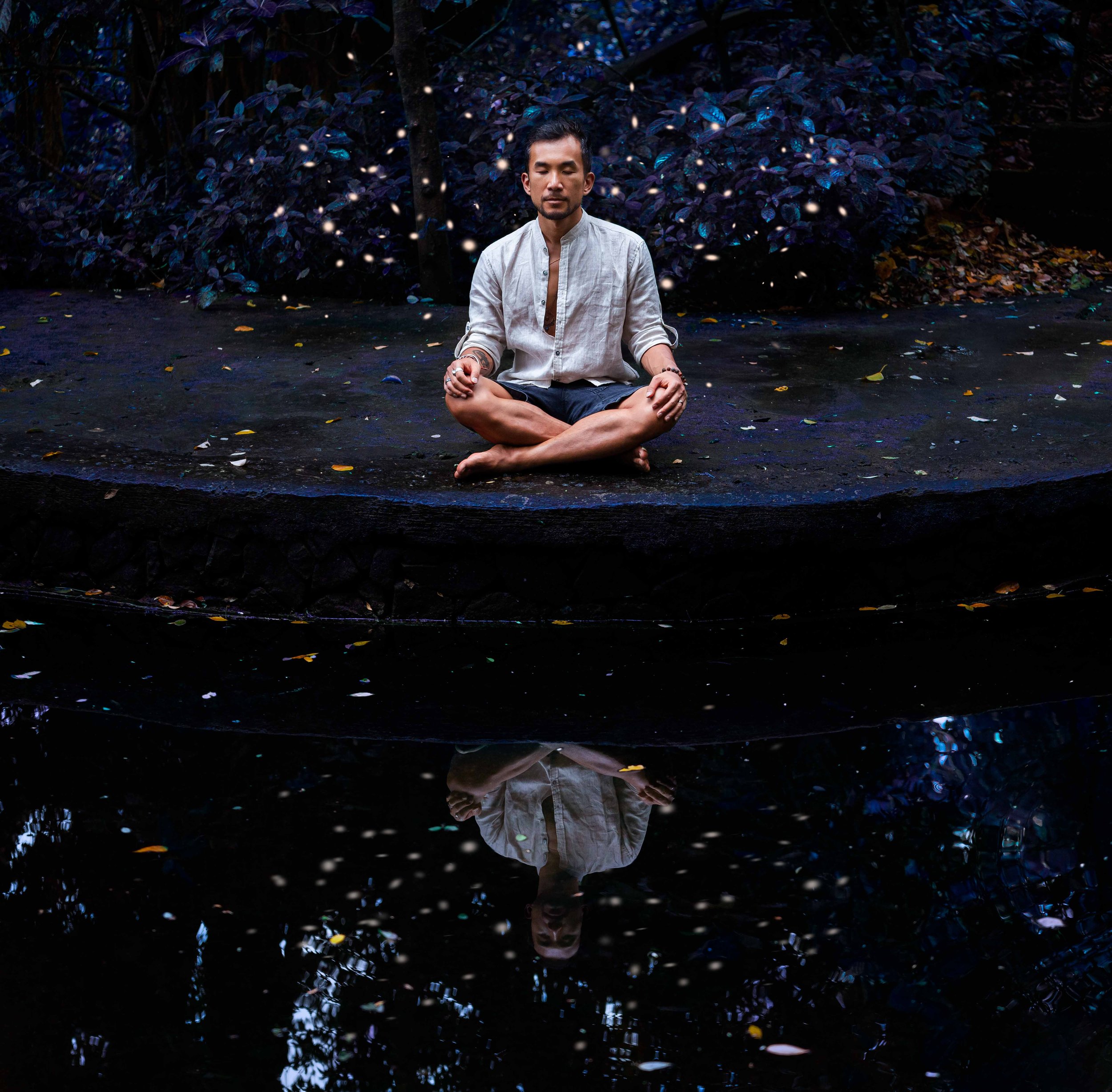 Edmond Lau_Luna Lemuria Art_website_4.jpg