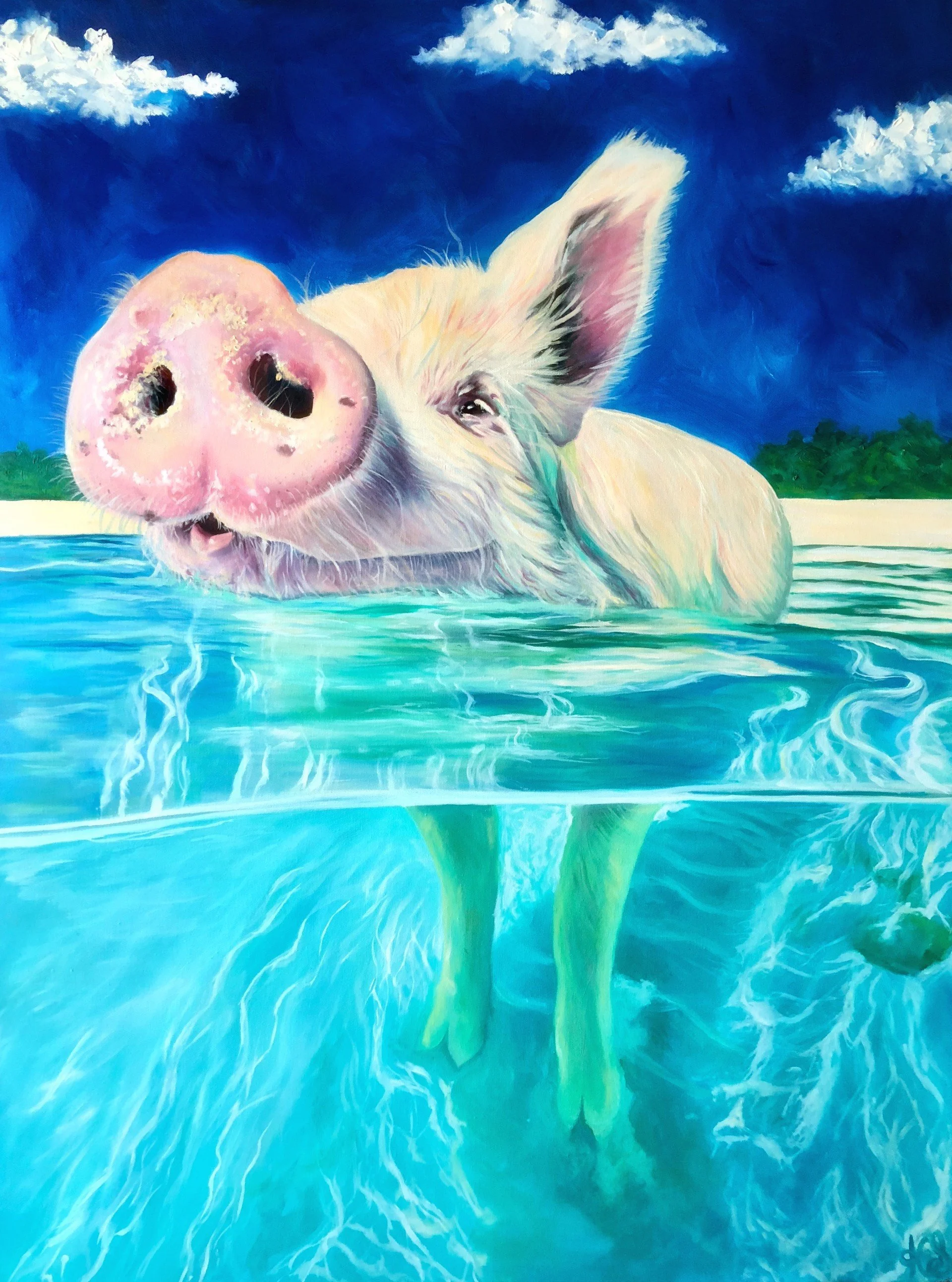 thumbnail_BAHAMA SWIMMING PIG.jpg
