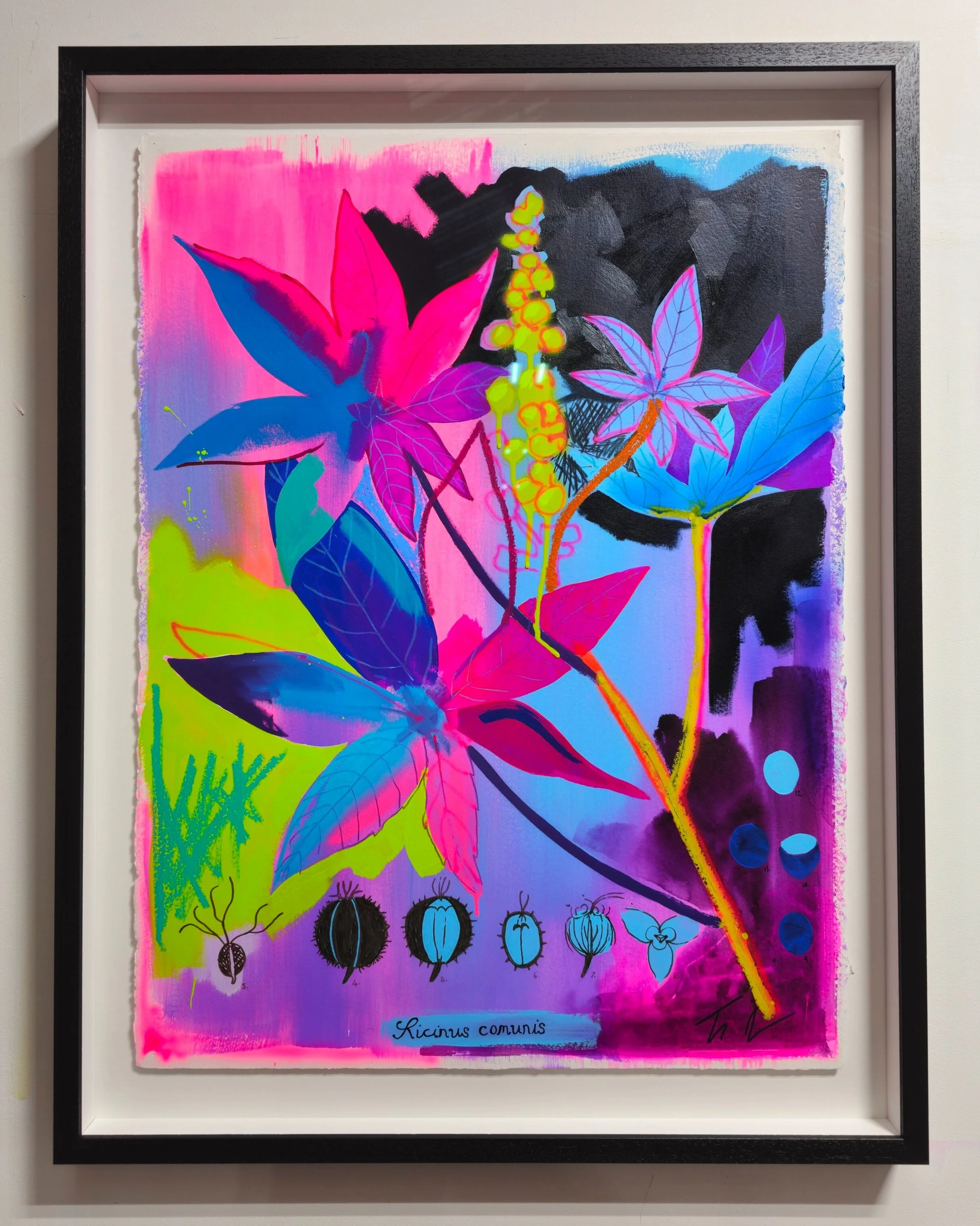Works on paper — Tim Fowler
