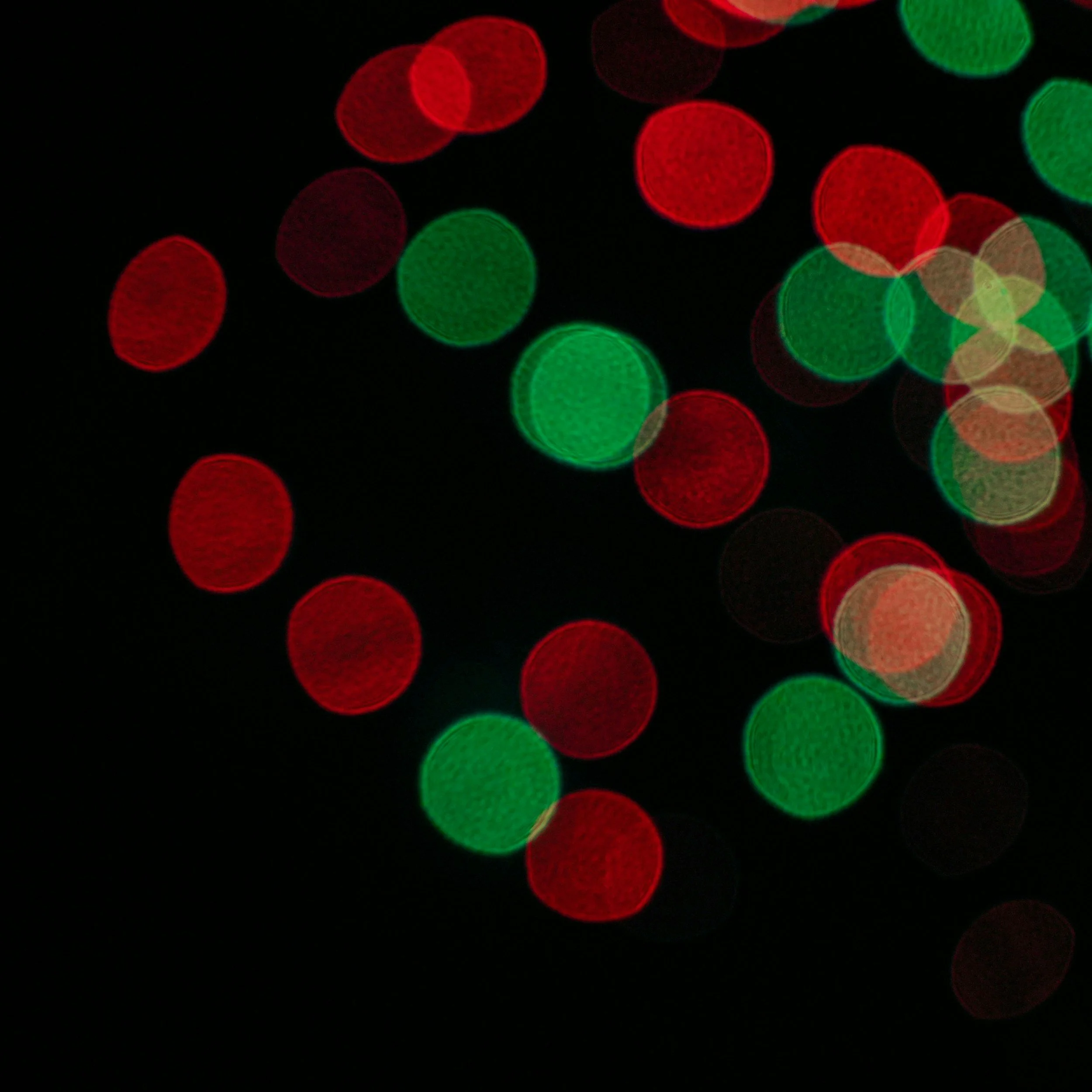 Holiday Party