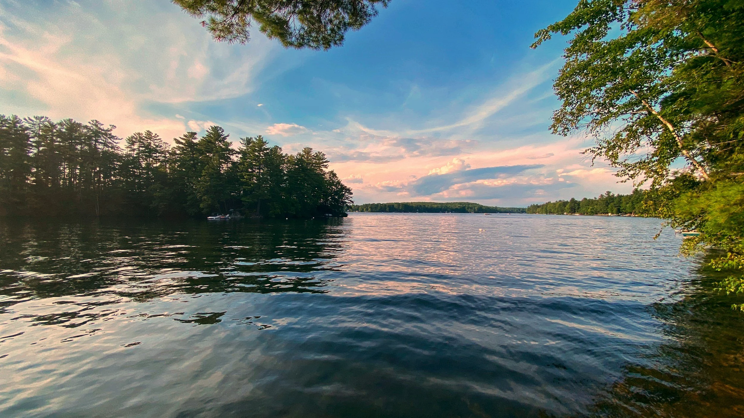 Warm evening light over a lake, framed by leafy trees