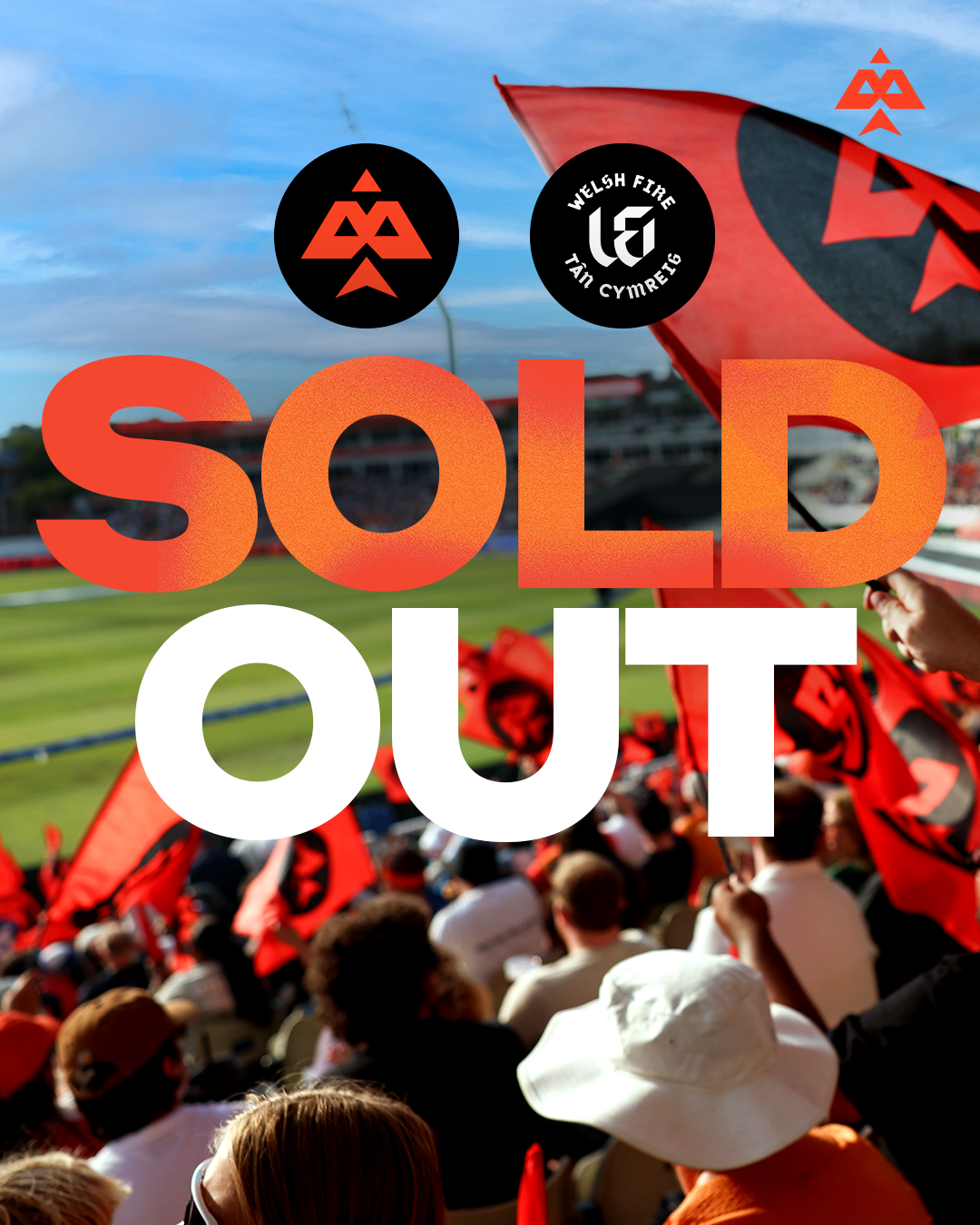 BP-sold-out-6.png