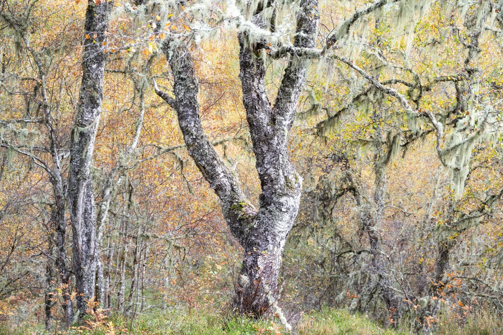 DSC_8161-Edit-Edit.jpg