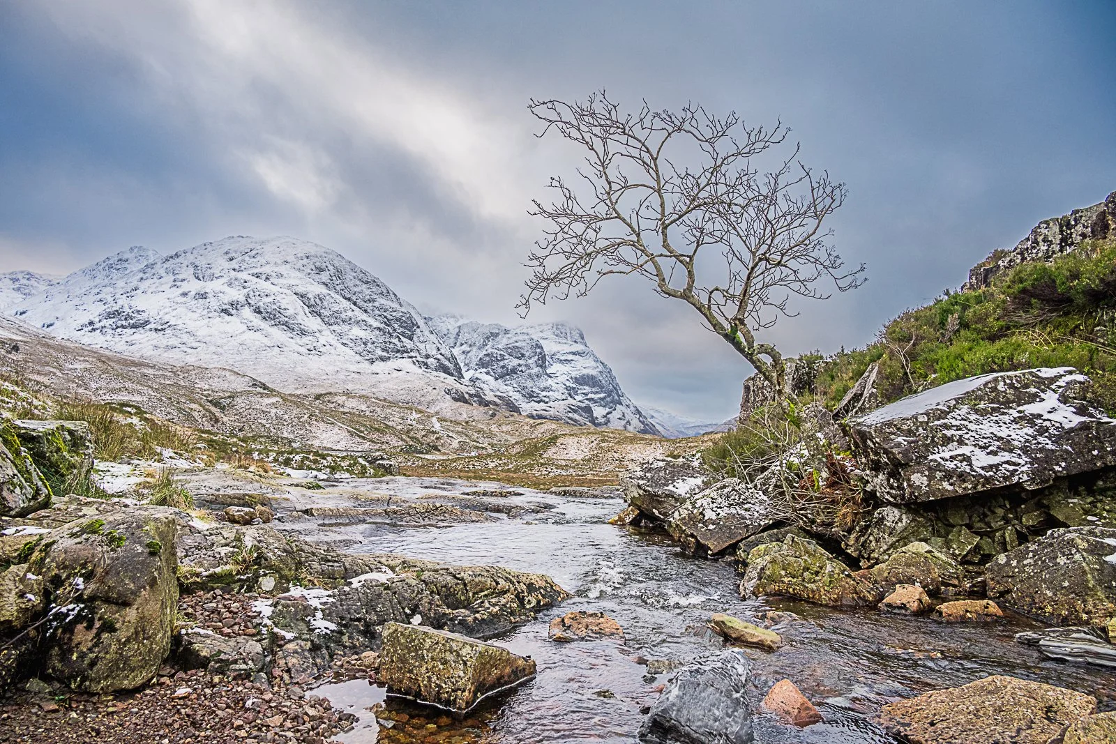 Lone Tree, Glen Coe