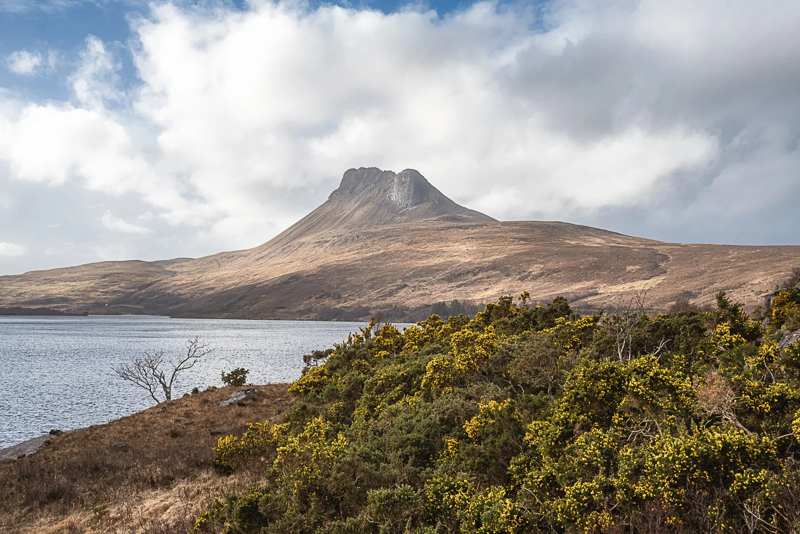 Star Pollaidh, Assent