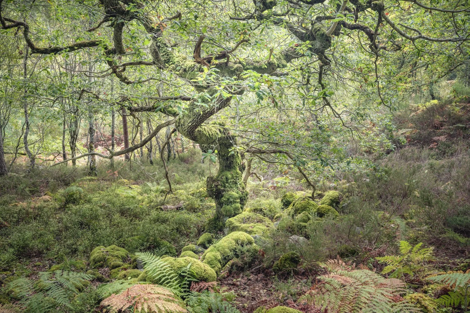 DSC_1211-Edit.jpg