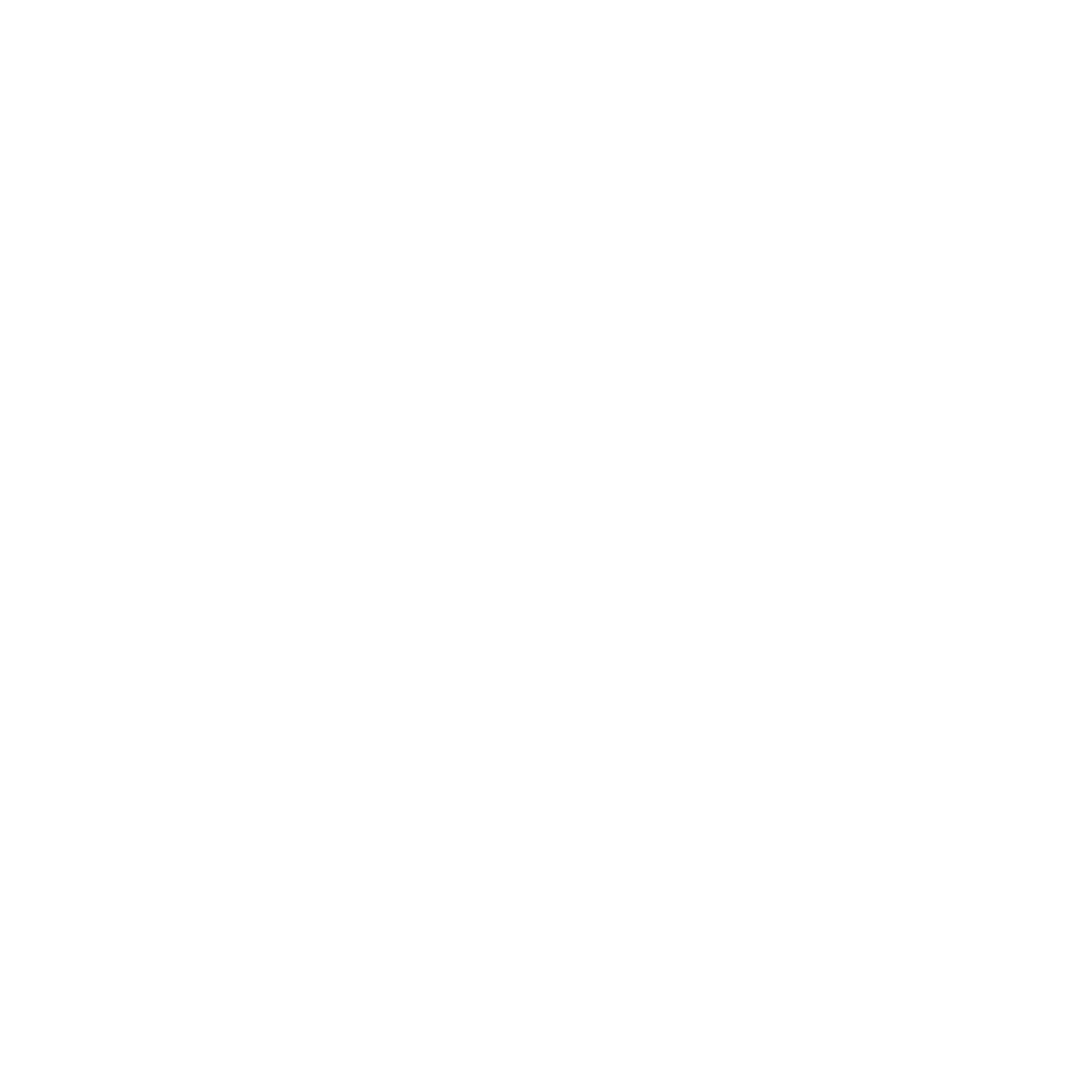 $TWP - The World President Cryptocurrency