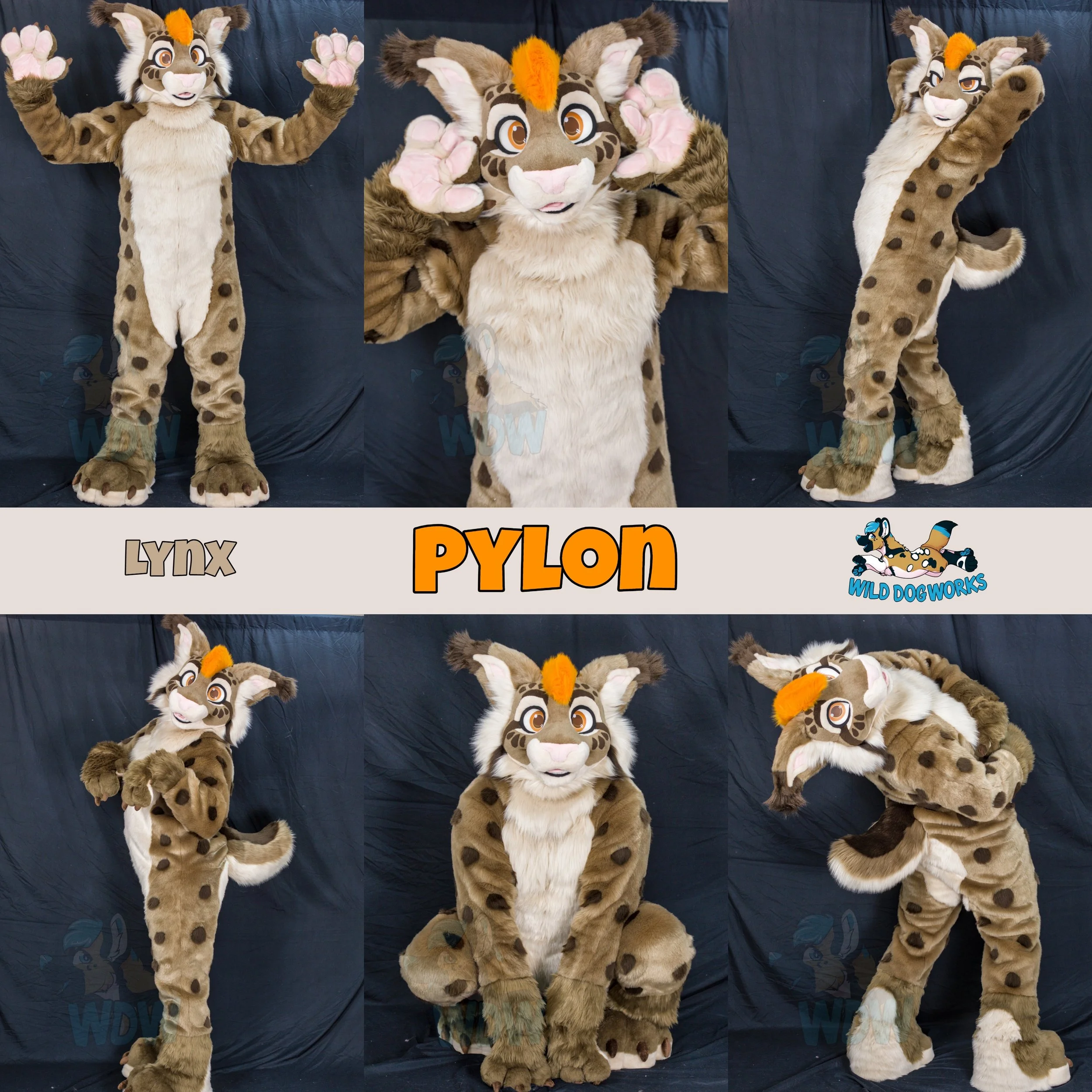 Pylon.jpg