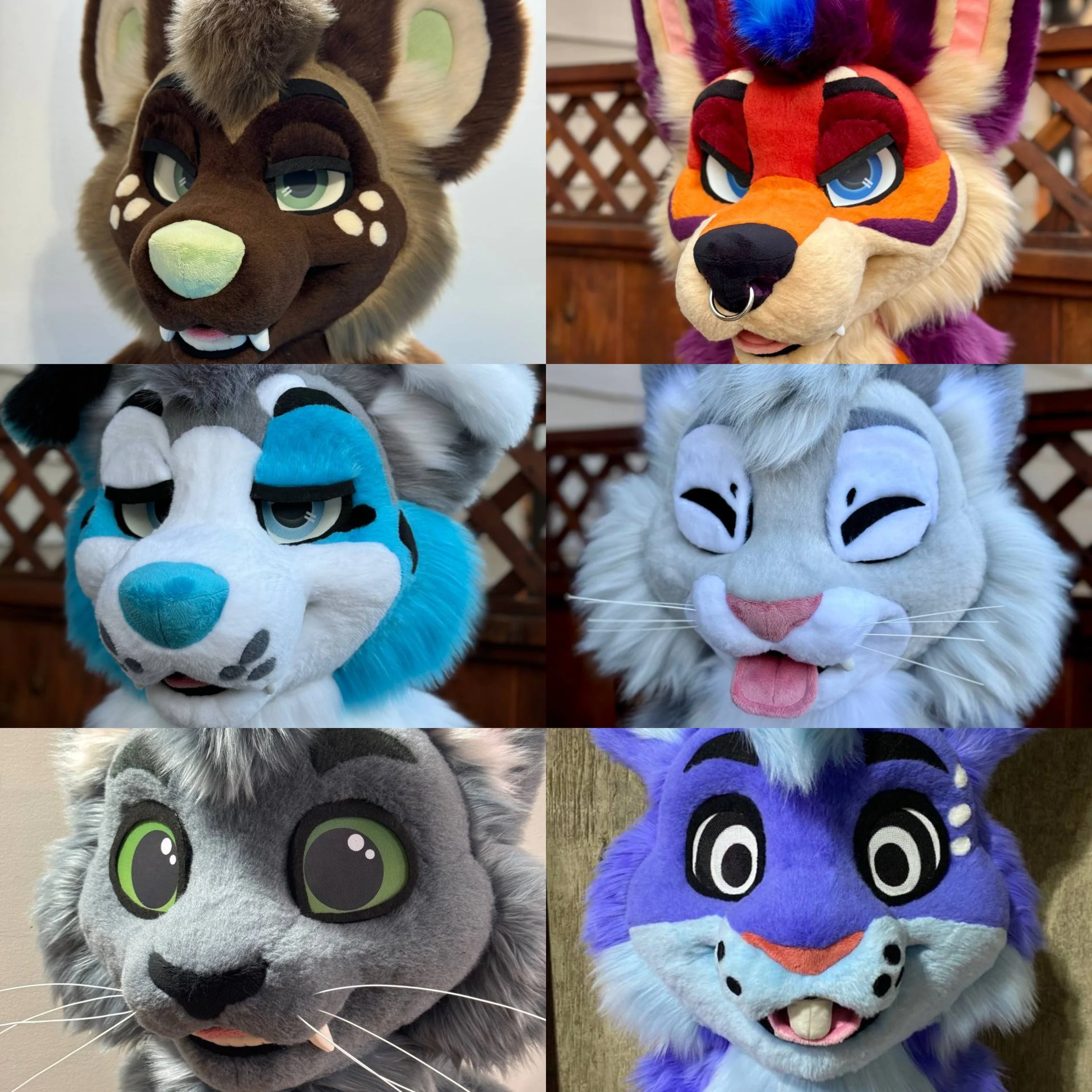 eyelids (1).jpg