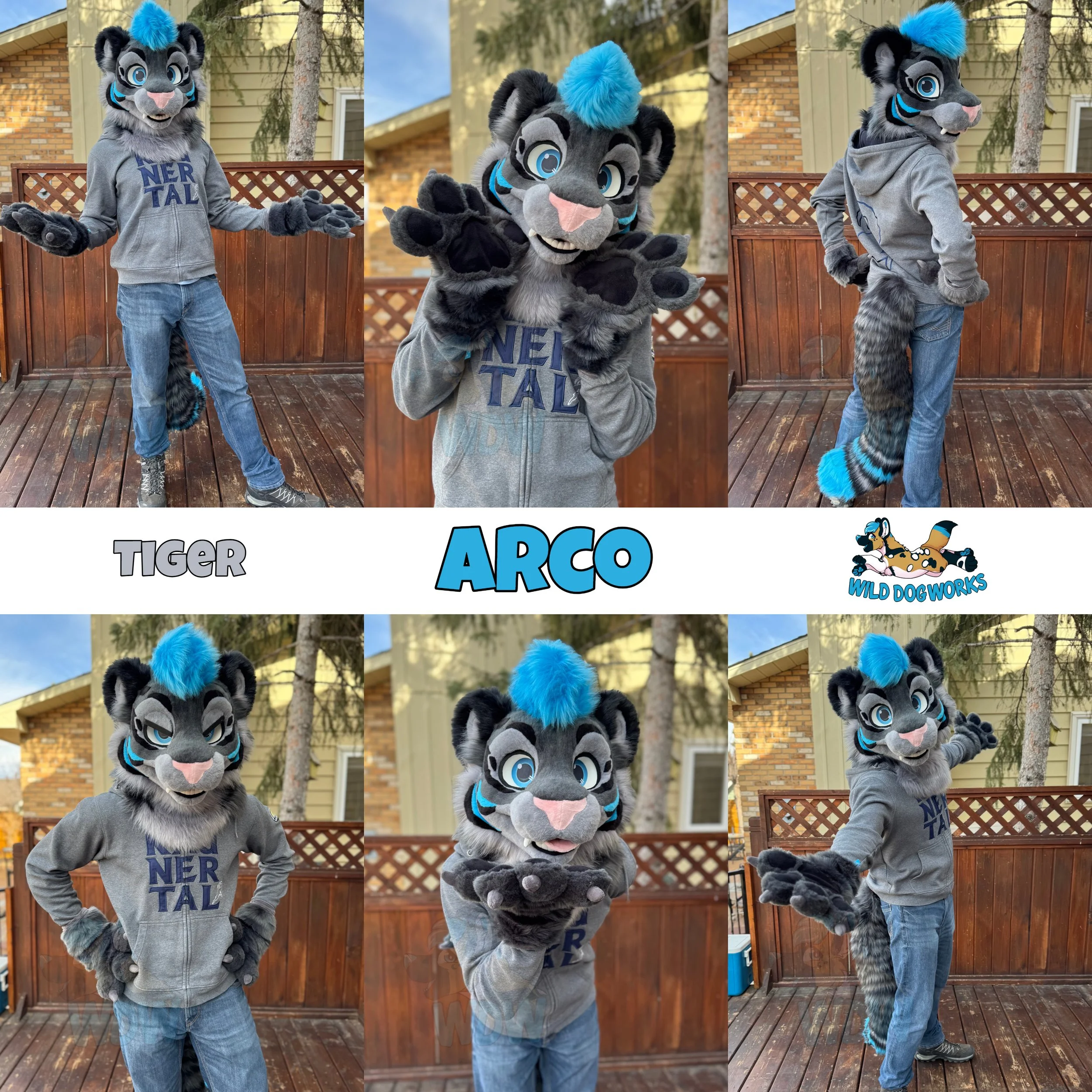 Arco.jpg