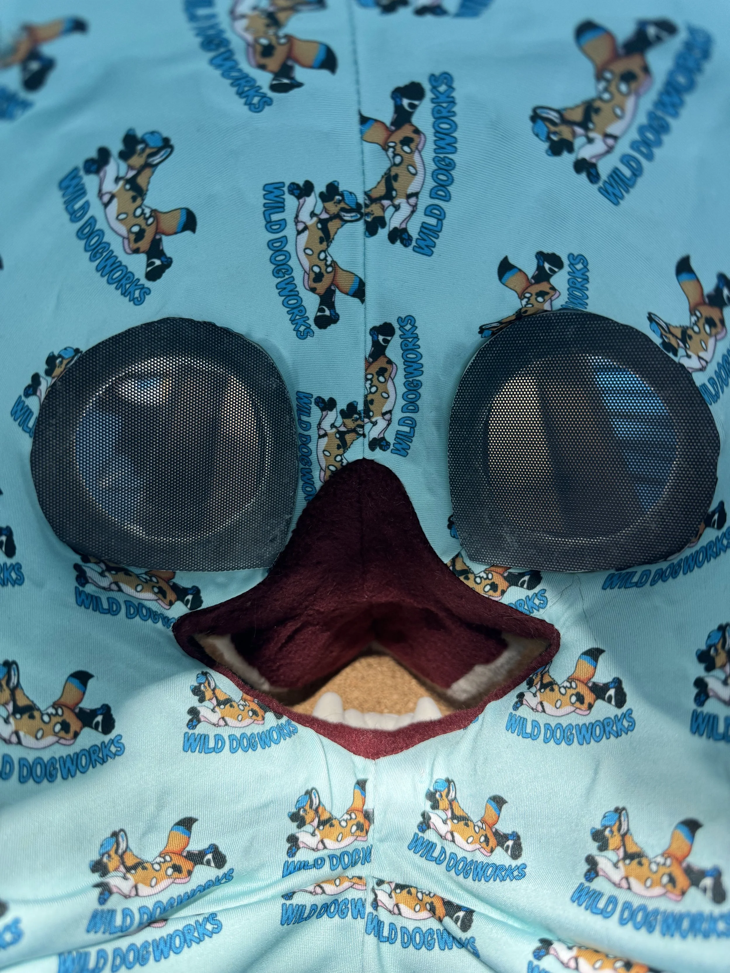 Inside head (1).JPEG