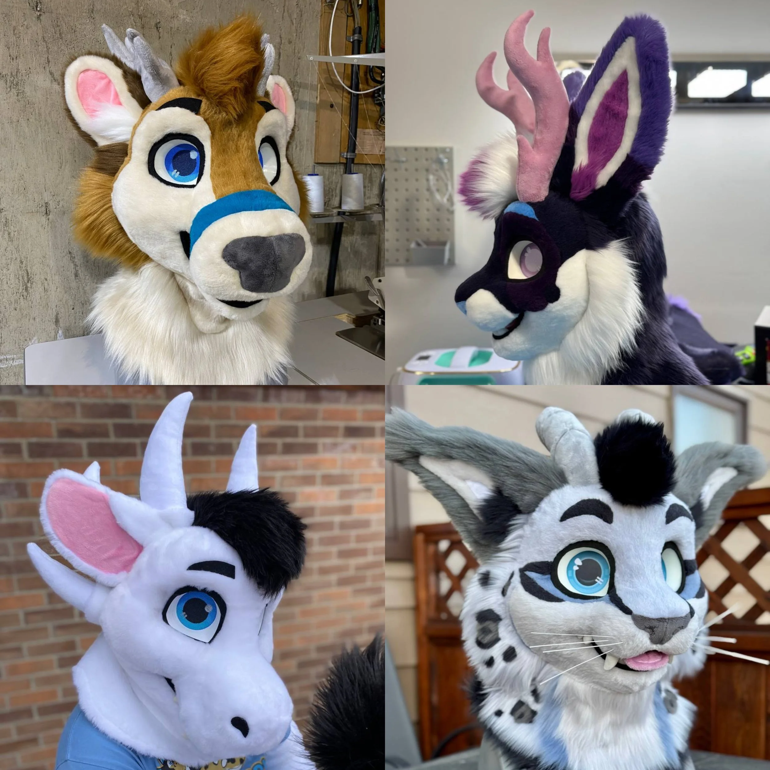 Horns_antlers.jpg
