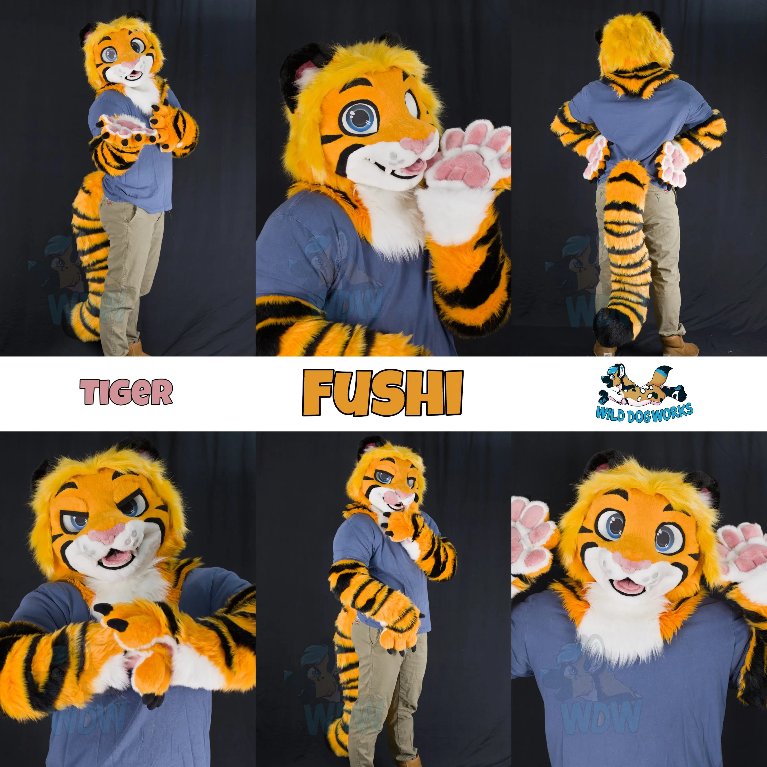 Fushi.jpg